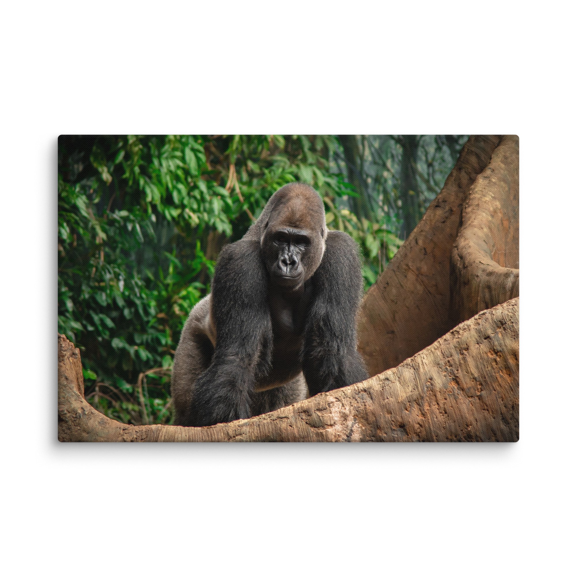 canvas-(in)-16x24-wall-67716995c7050.jpg