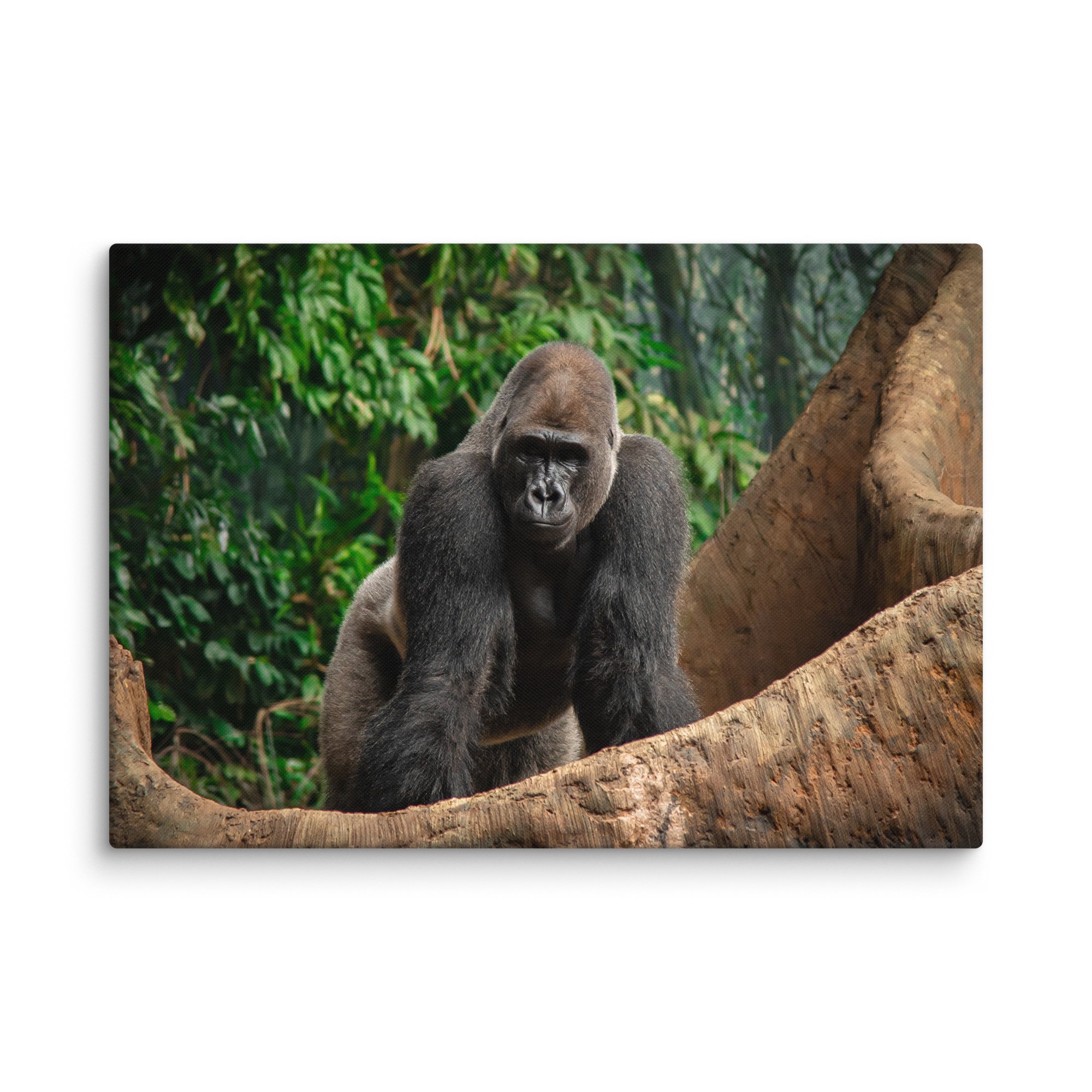 canvas-(in)-18x26-wall-67716995c7174.jpg