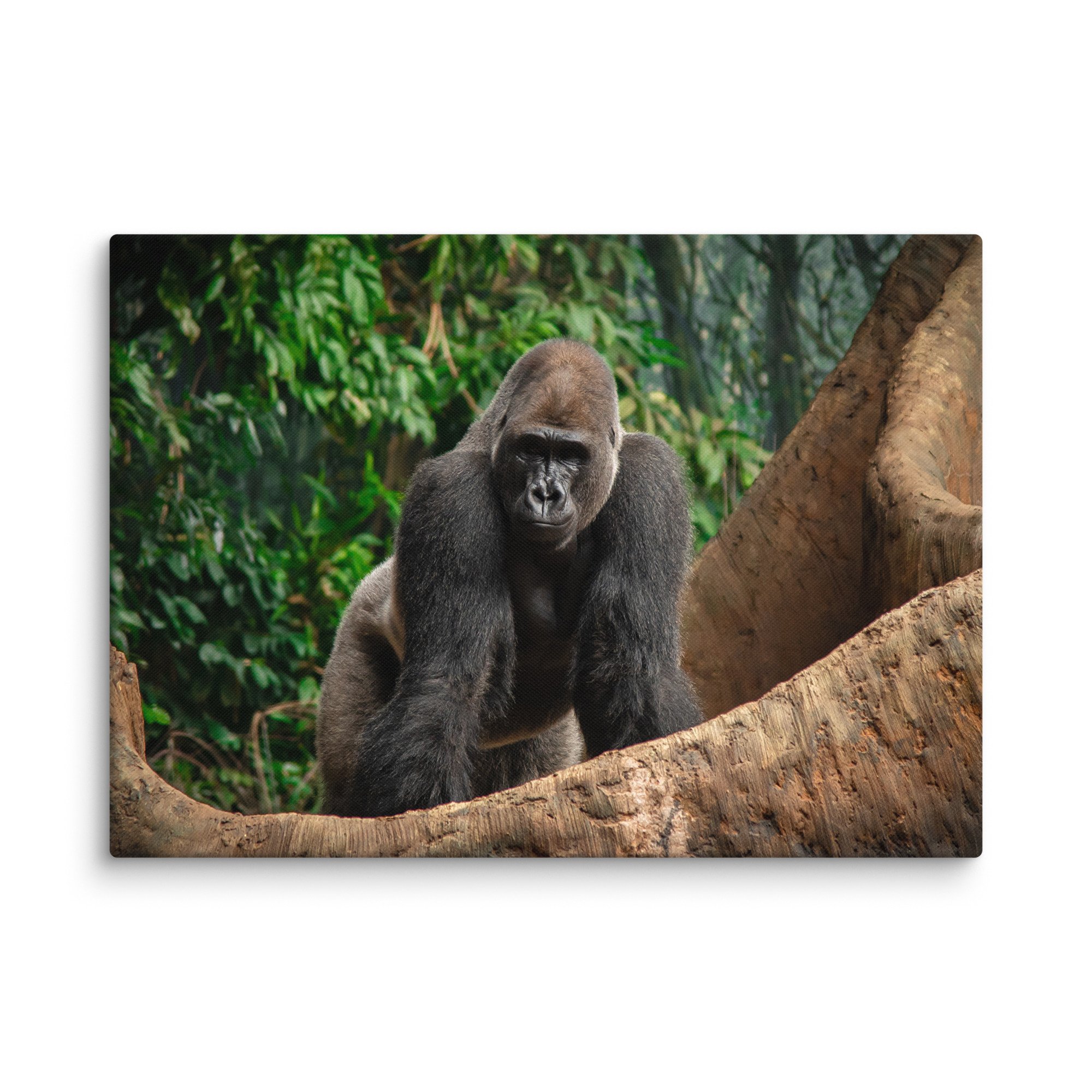 canvas-(in)-20x28-wall-67716995c7262.jpg