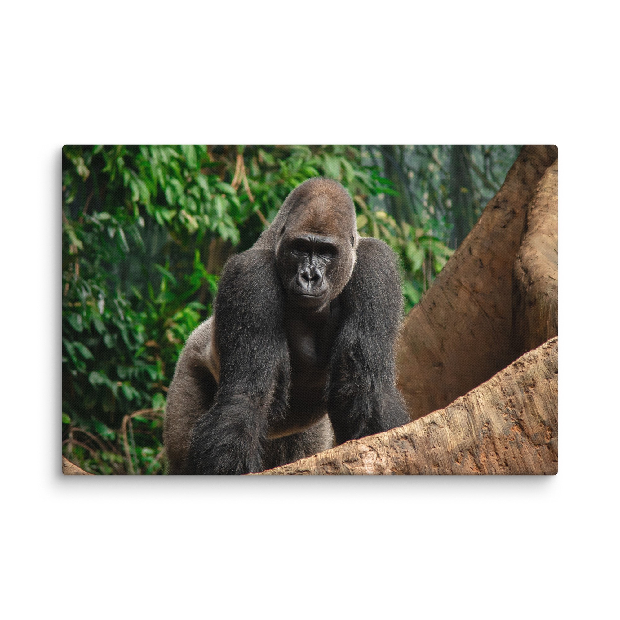 canvas-(in)-8x12-wall-67716995c78f1.jpg