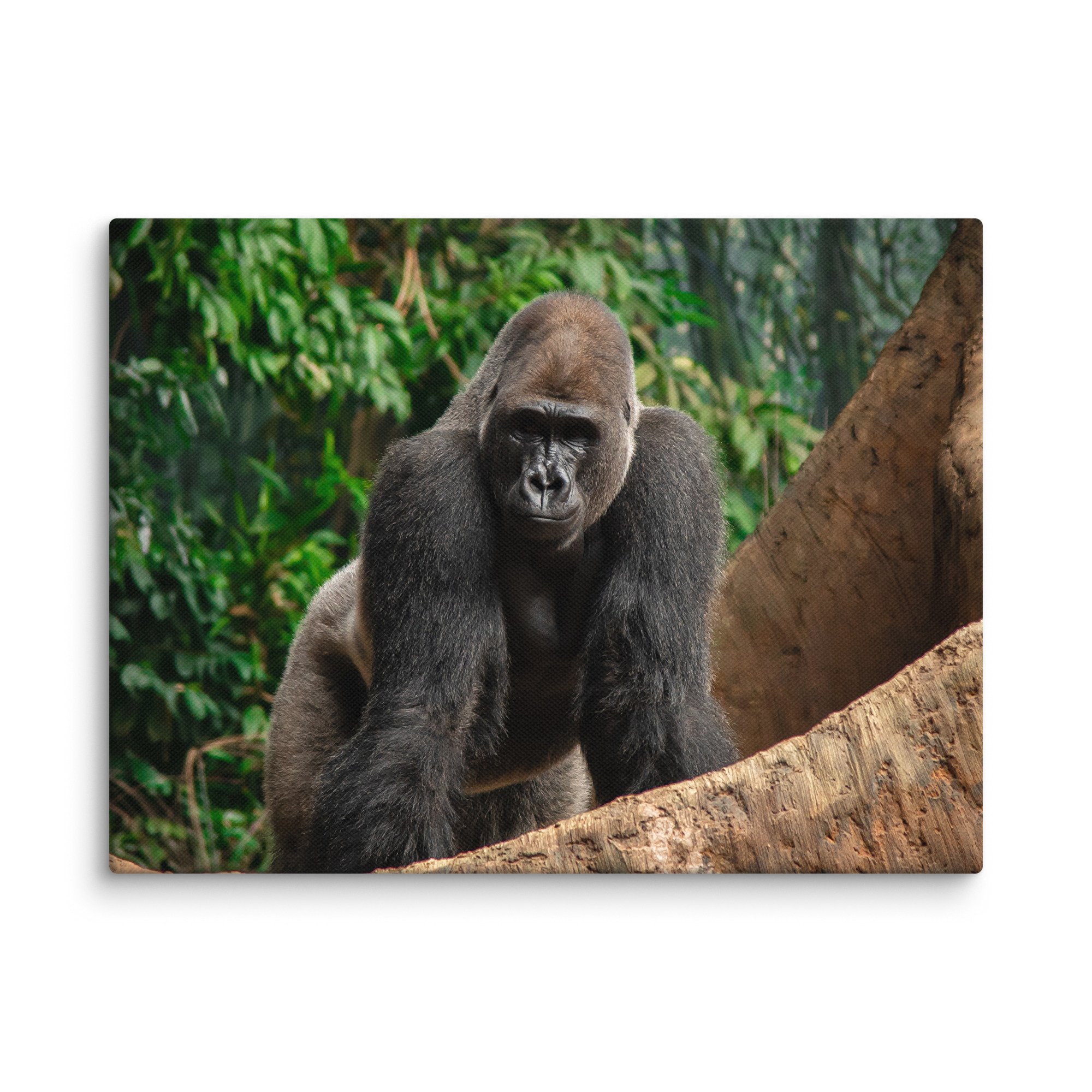 canvas-(in)-9x12-wall-67716995c7981.jpg