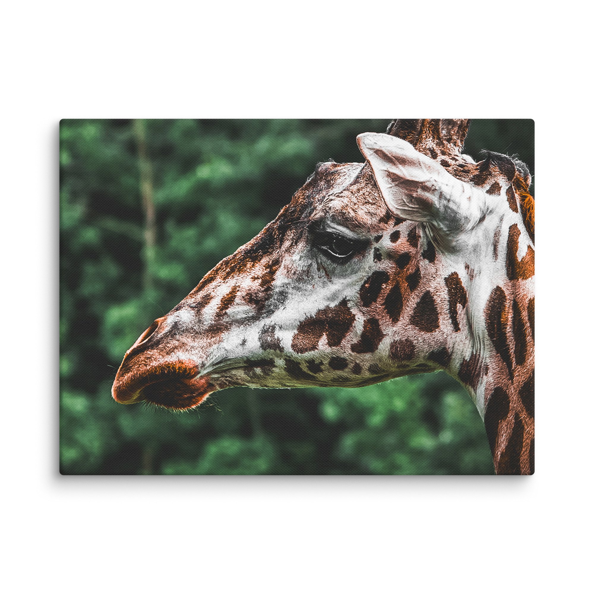 canvas-(in)-12x16-wall-67717123b28eb.jpg