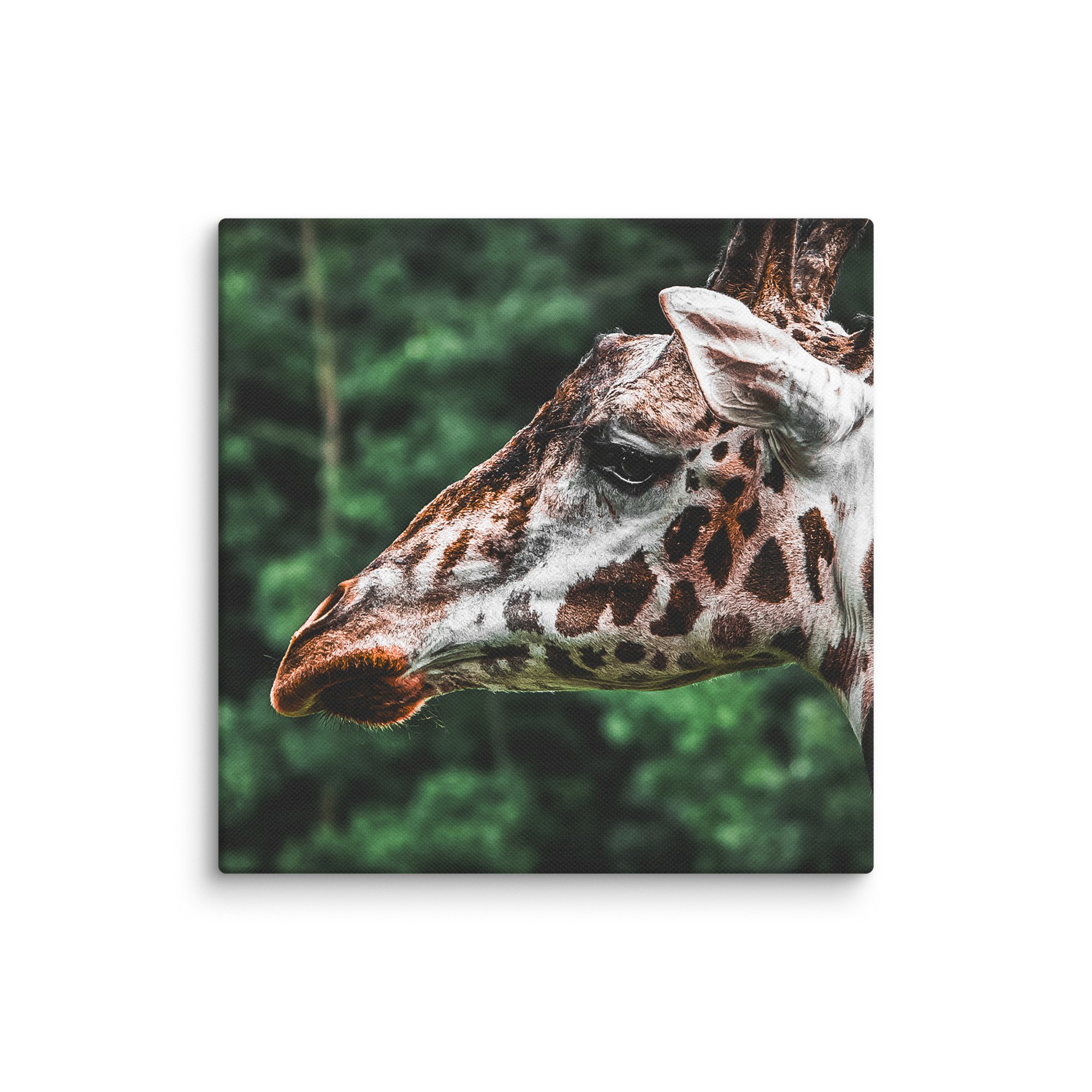 canvas-(in)-10x10-wall-67717123b3015.jpg