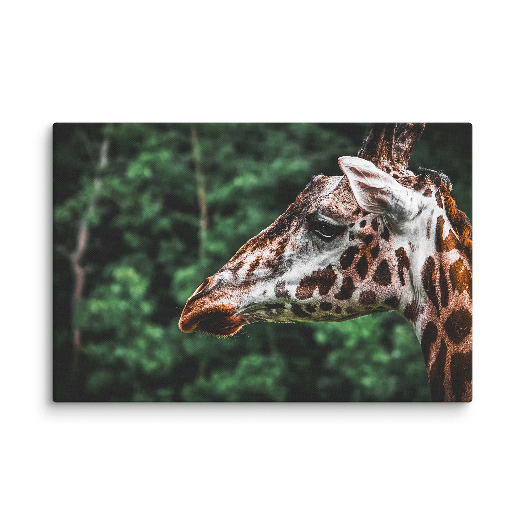 canvas-(in)-12x18-wall-67717123b3221.jpg
