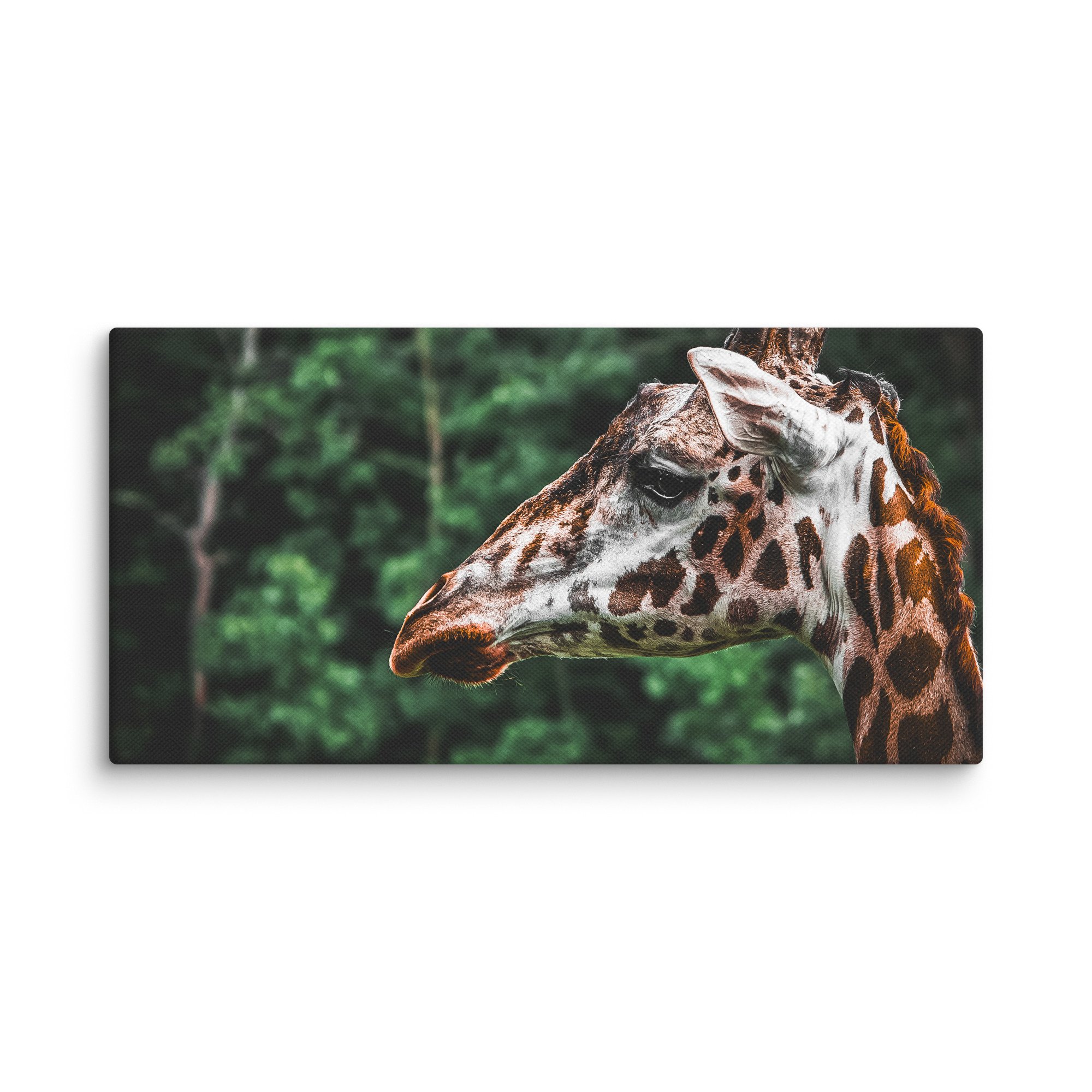 canvas-(in)-12x24-wall-67717123b32b6.jpg
