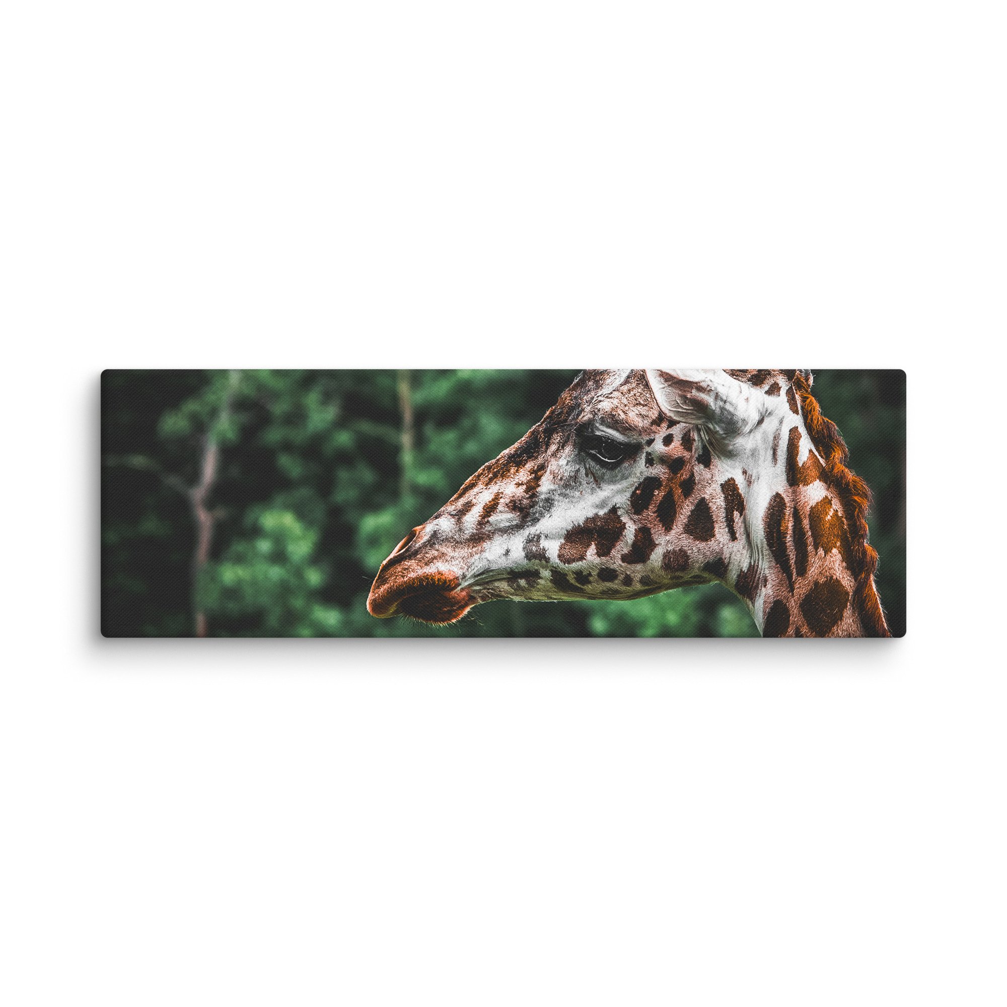 canvas-(in)-16x48-wall-67717123b35b3.jpg