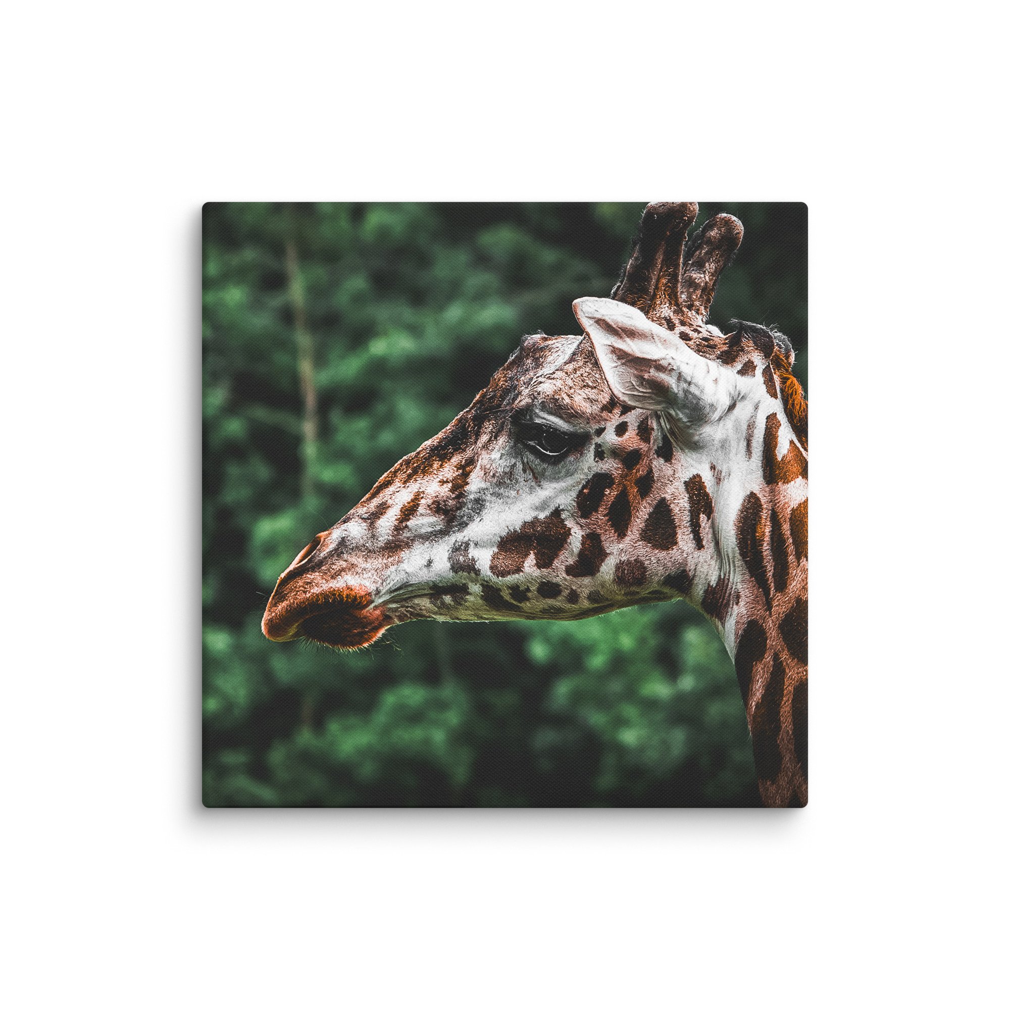canvas-(in)-24x24-wall-67717123b3ac4.jpg