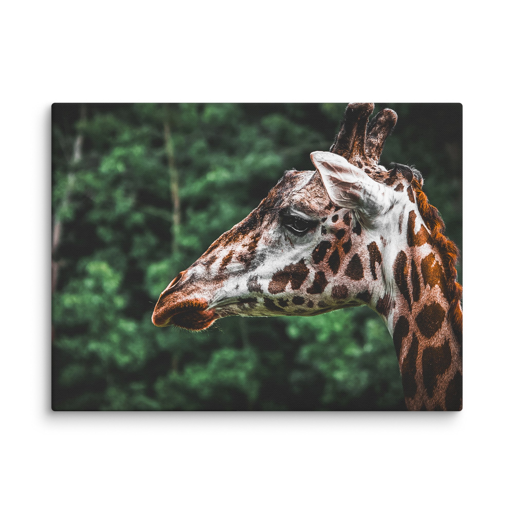 canvas-(in)-24x32-wall-67717123b3bce.jpg
