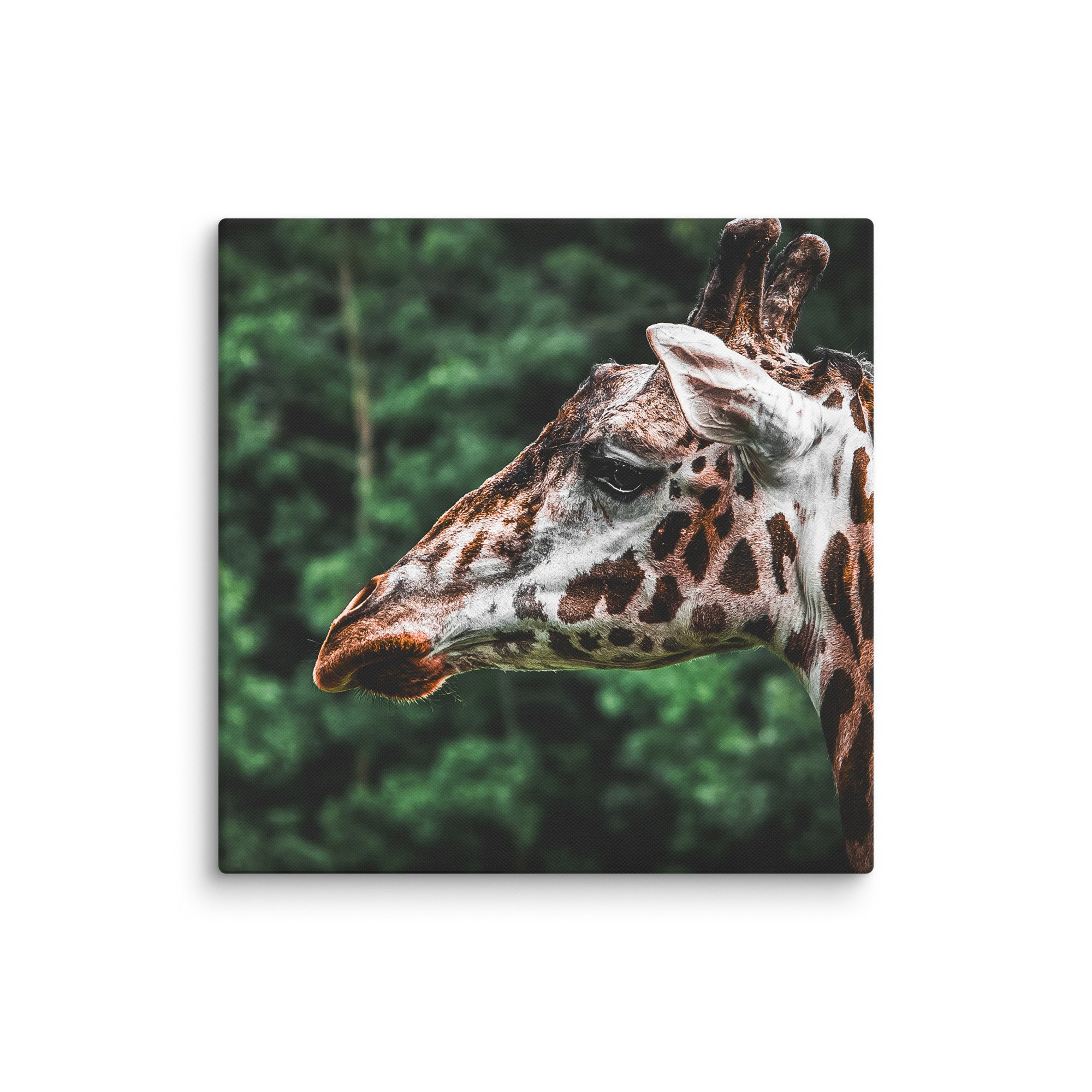canvas-(in)-26x26-wall-67717123b3cc1.jpg