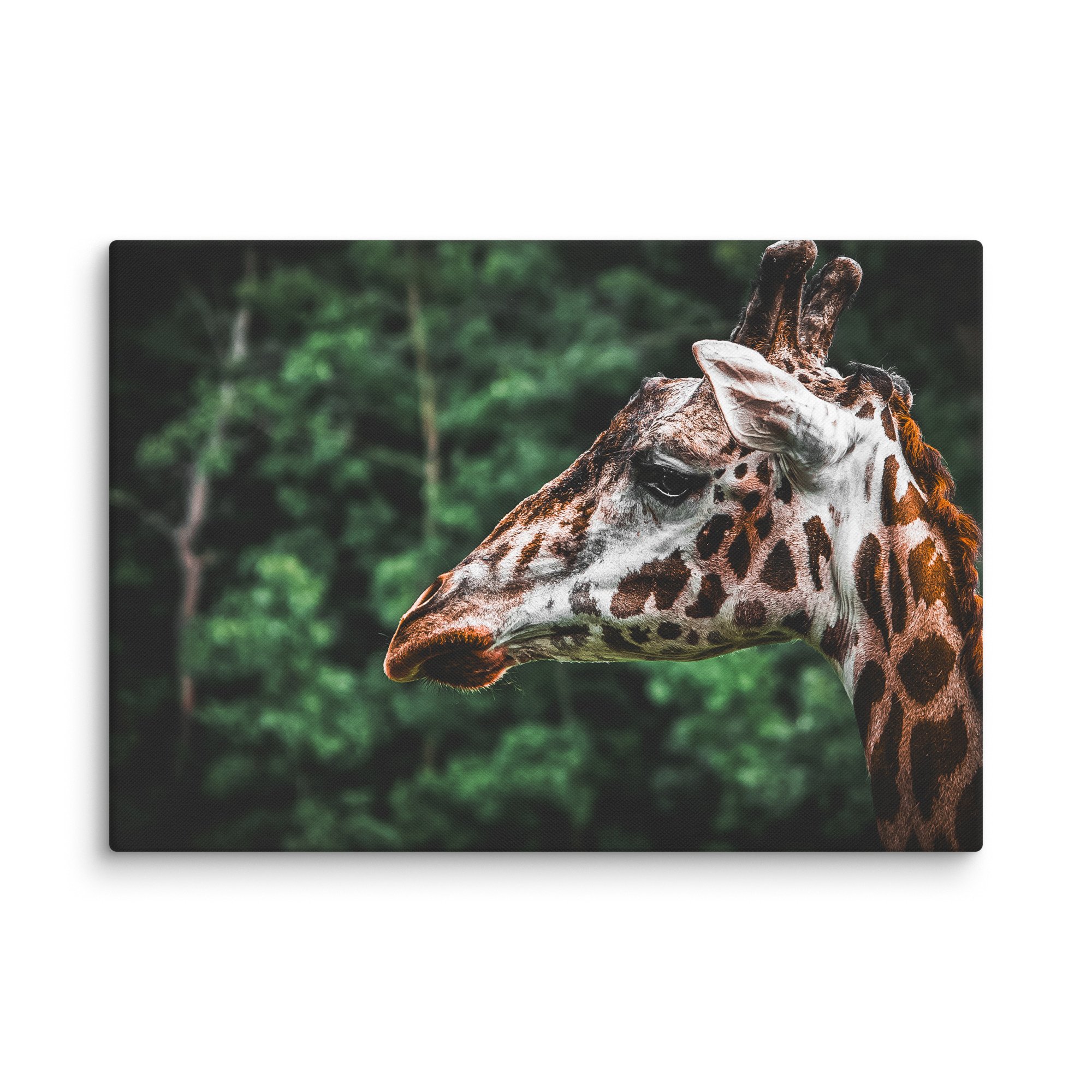canvas-(in)-28x40-wall-67717123b3e86.jpg