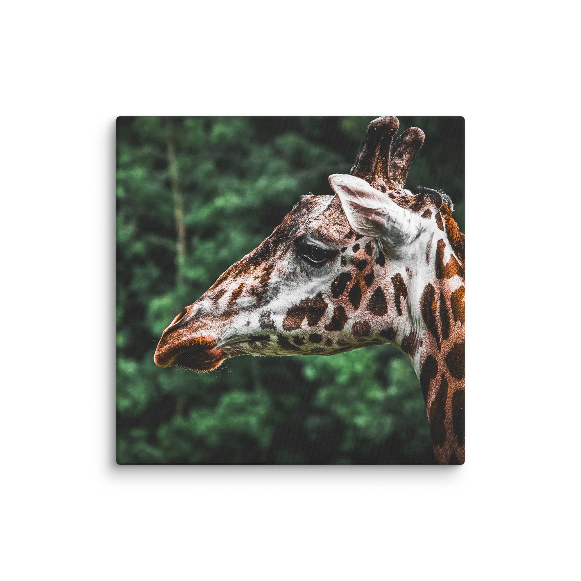 canvas-(in)-30x30-wall-67717123b3f15.jpg