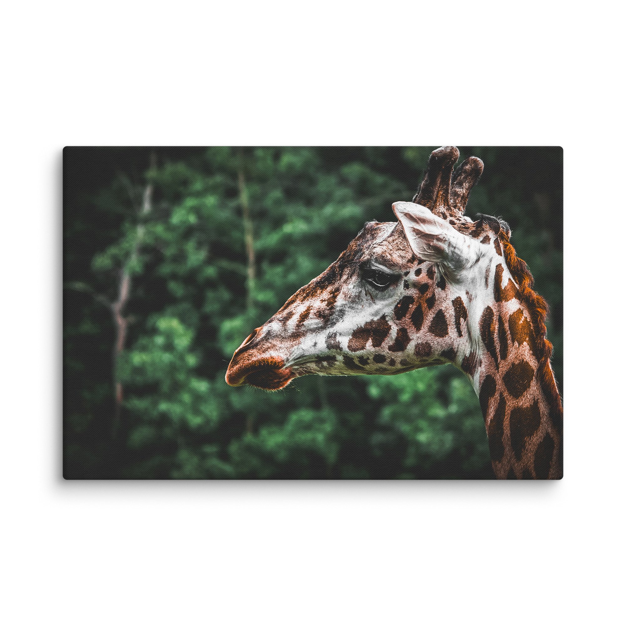 canvas-(in)-32x48-wall-67717123b4156.jpg