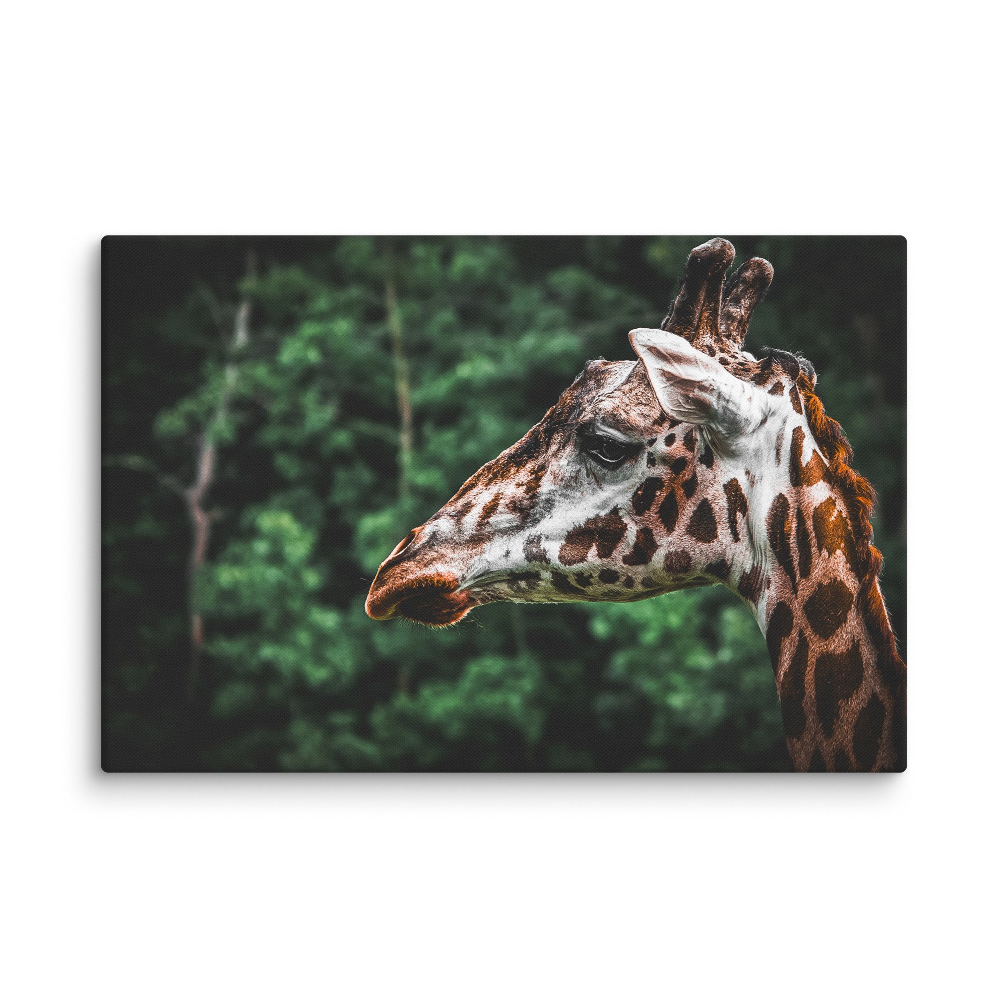 canvas-(in)-40x60-wall-67717123b439e.jpg