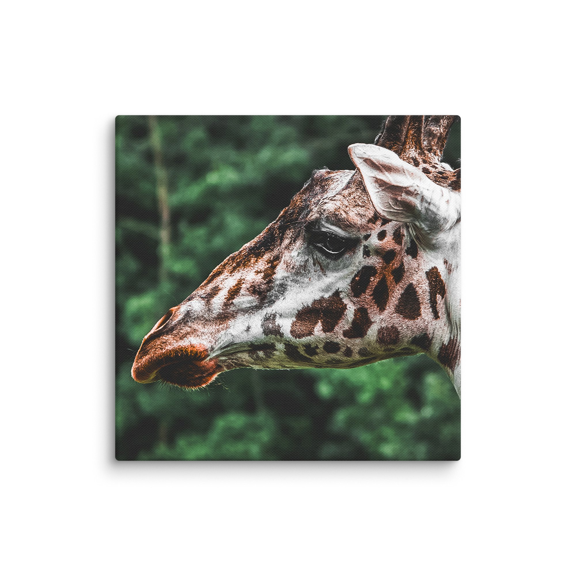 canvas-(in)-8x8-wall-67717123b4550.jpg