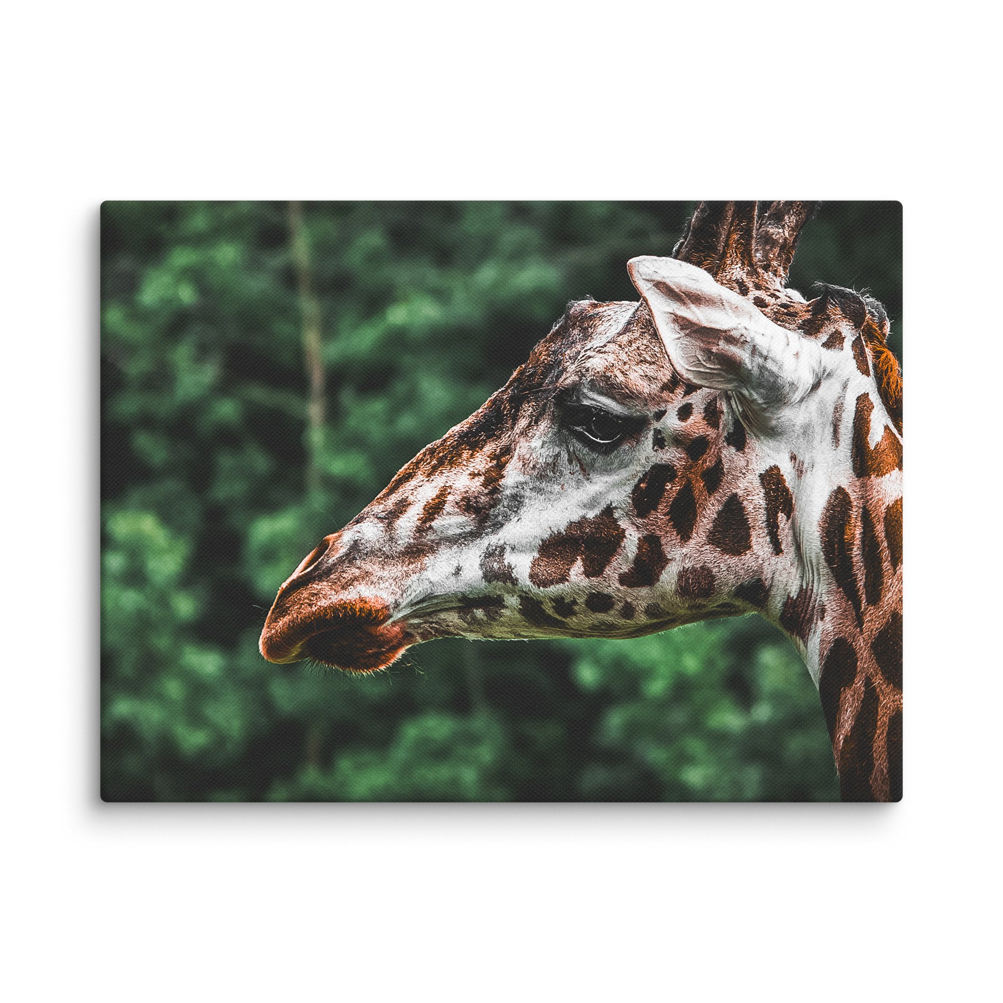 canvas-(in)-9x12-wall-67717123b45e6.jpg