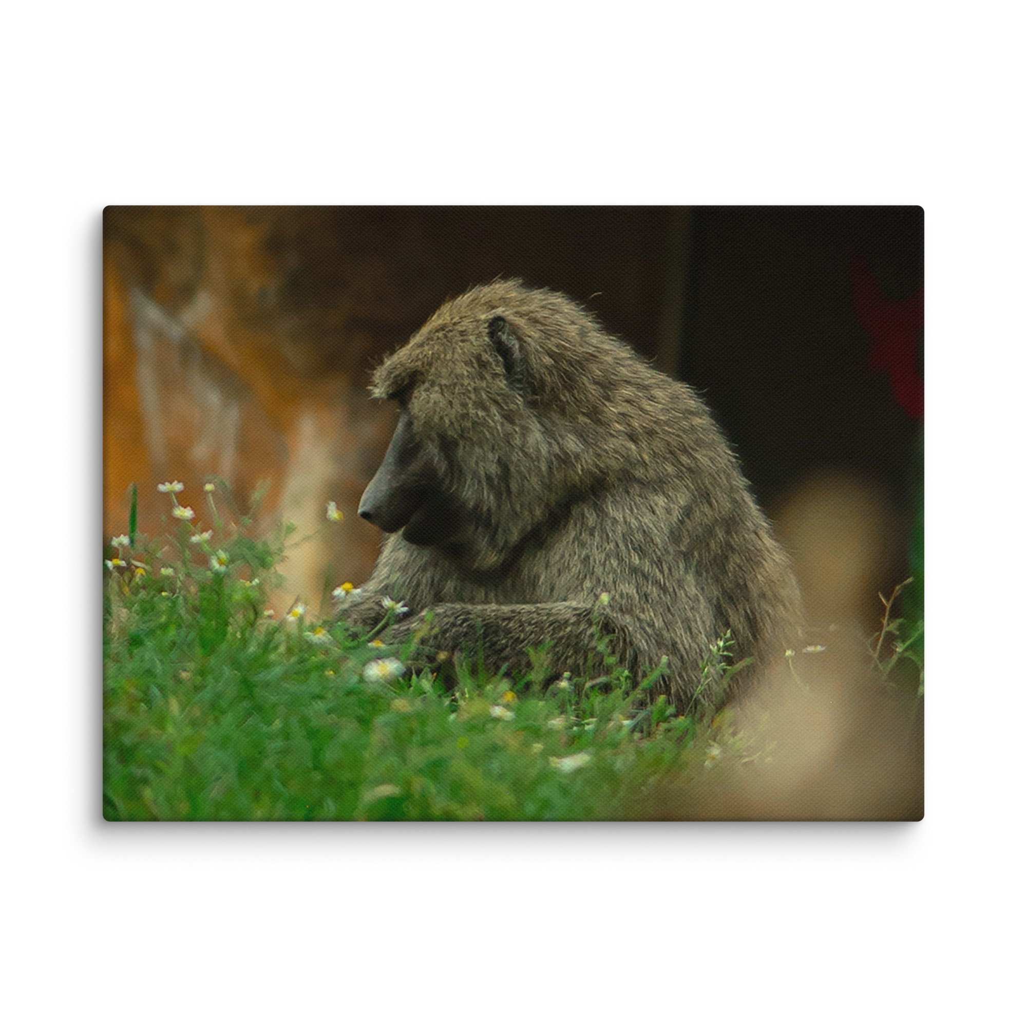 canvas-(in)-12x16-wall-677174edc3379.jpg