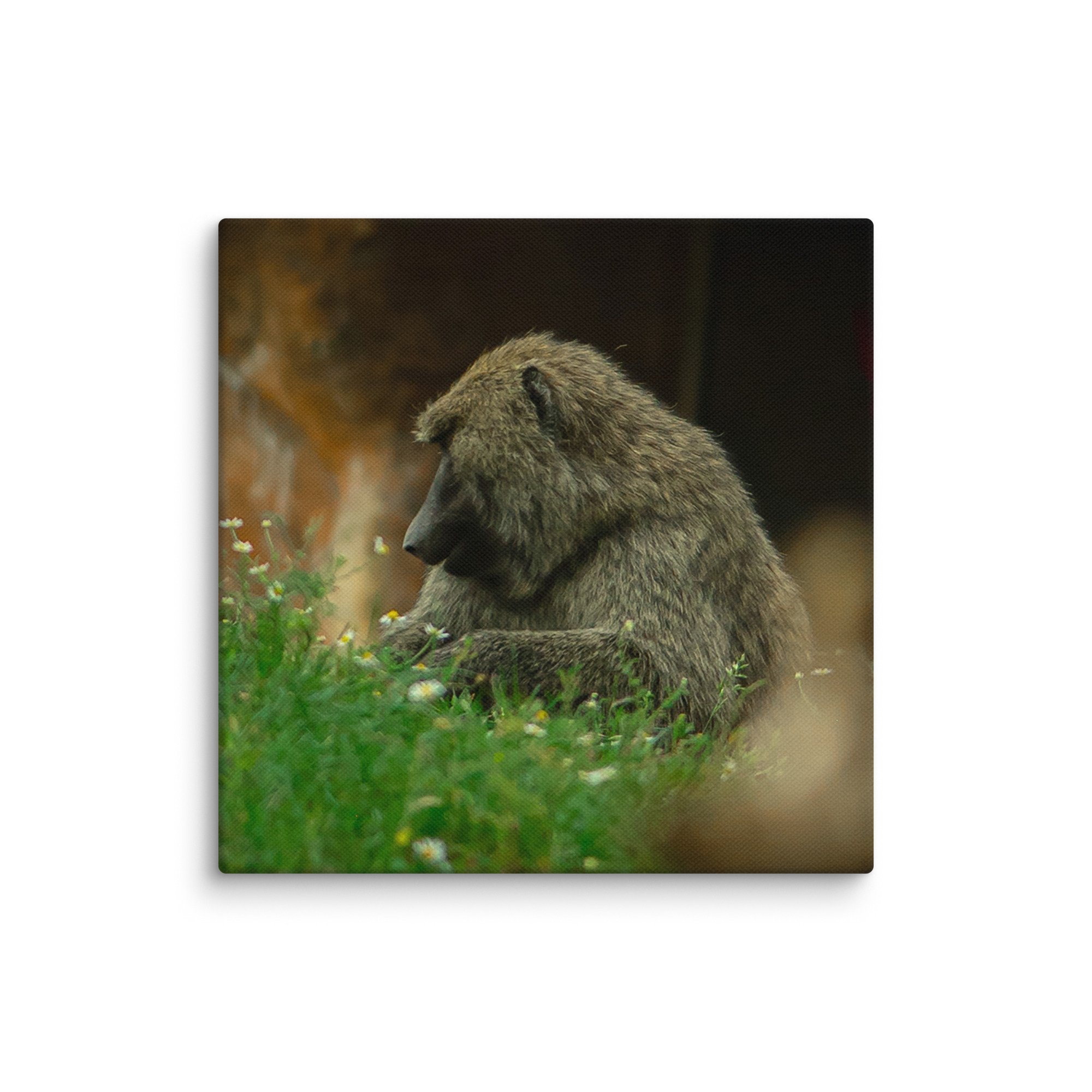 canvas-(in)-10x10-wall-677174edc4030.jpg