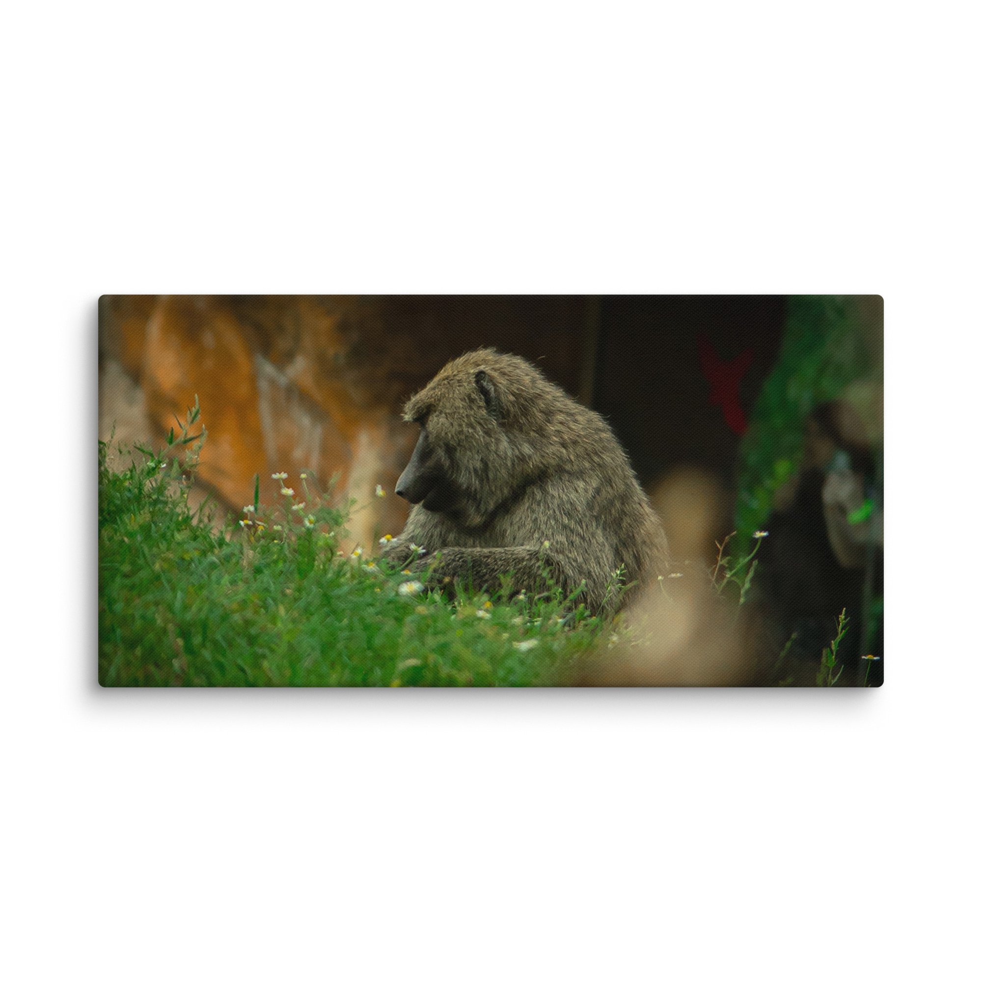 canvas-(in)-16x32-wall-677174edc4408.jpg