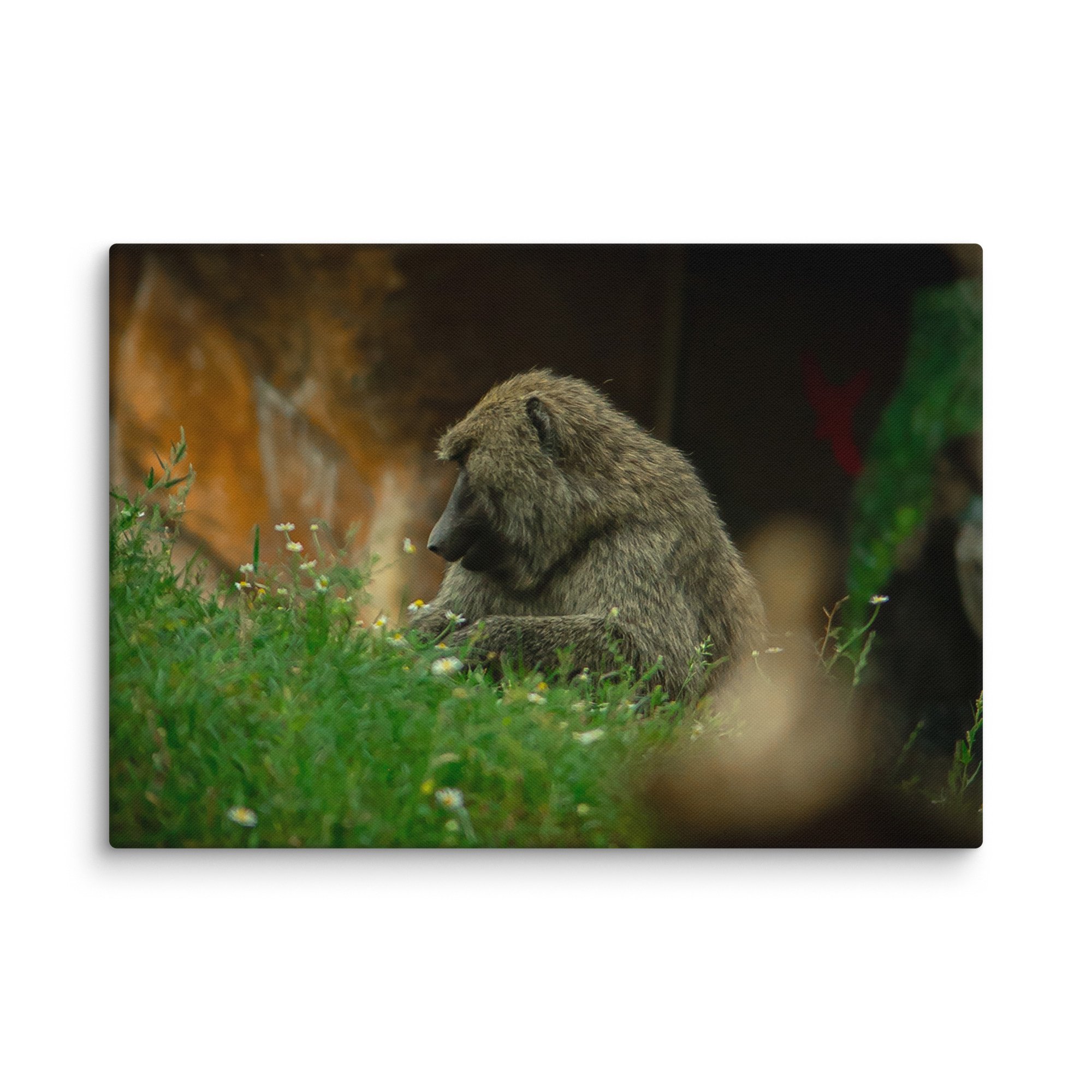 canvas-(in)-18x26-wall-677174edc451f.jpg