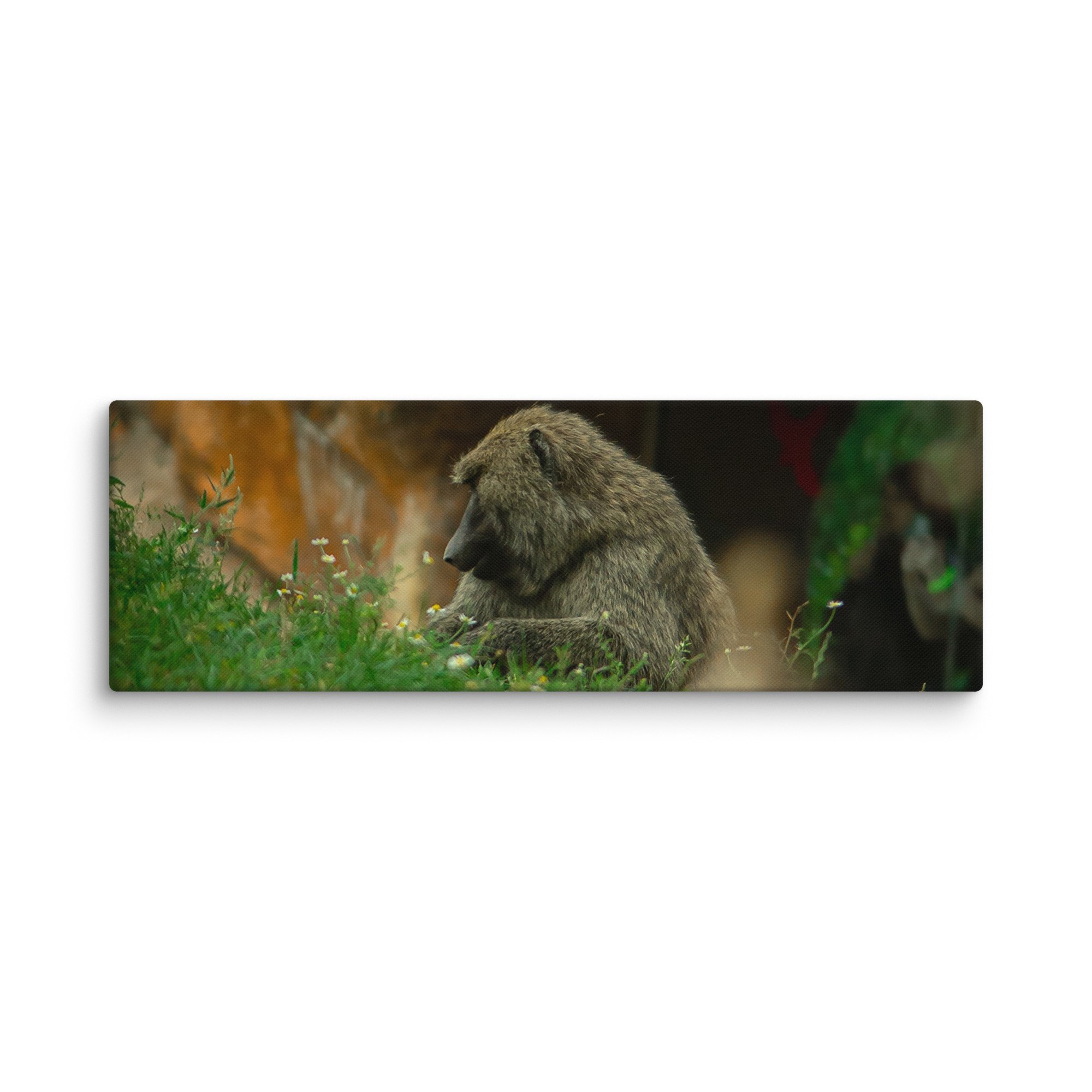 canvas-(in)-20x60-wall-677174edc474f.jpg