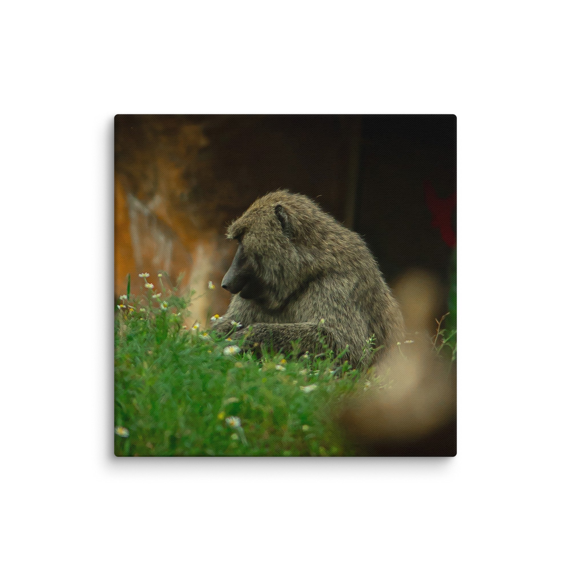 canvas-(in)-26x26-wall-677174edc4927.jpg