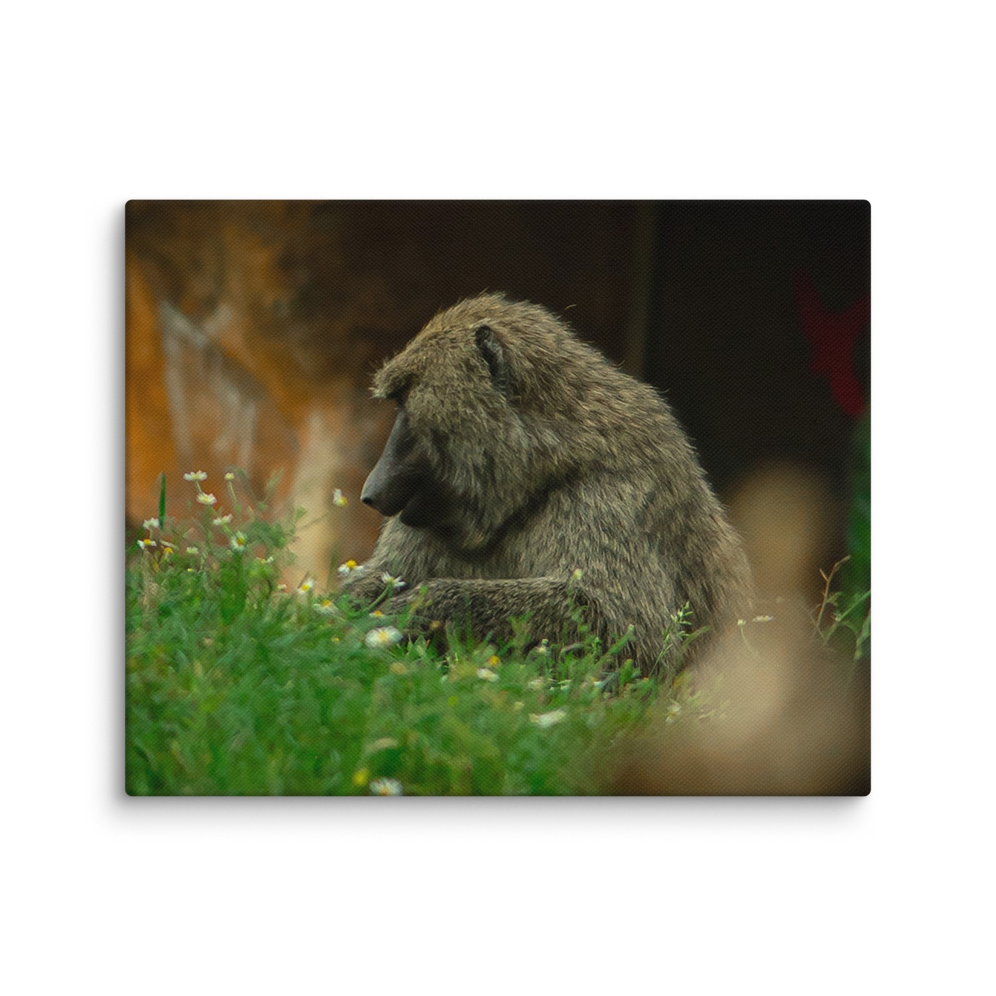 canvas-(in)-8x10-wall-677174edc4e17.jpg