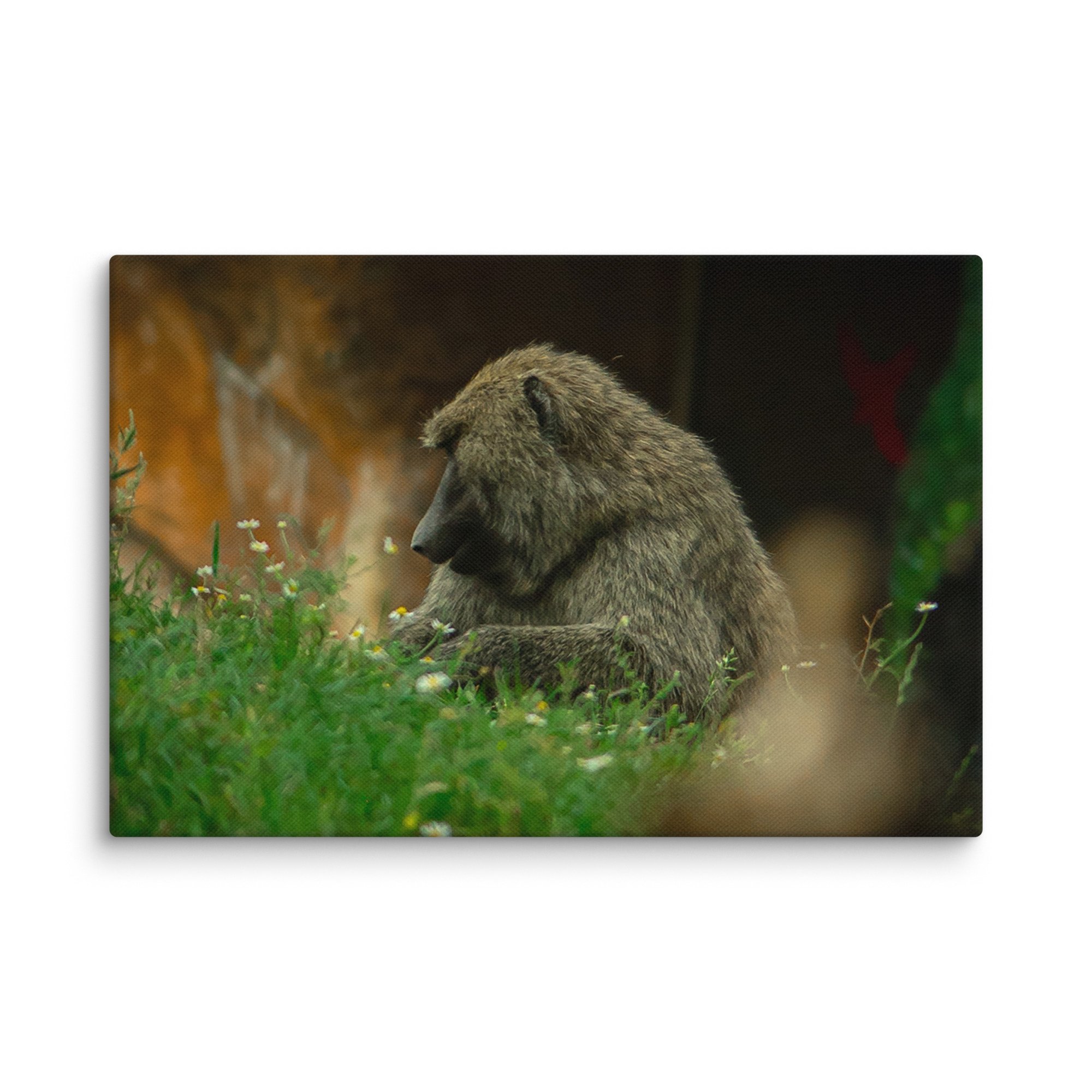 canvas-(in)-8x12-wall-677174edc4e5d.jpg