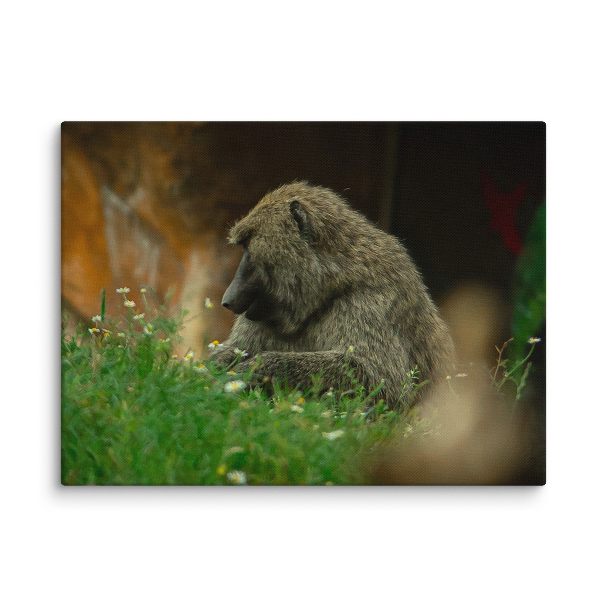 canvas-(in)-9x12-wall-677174edc4f02.jpg