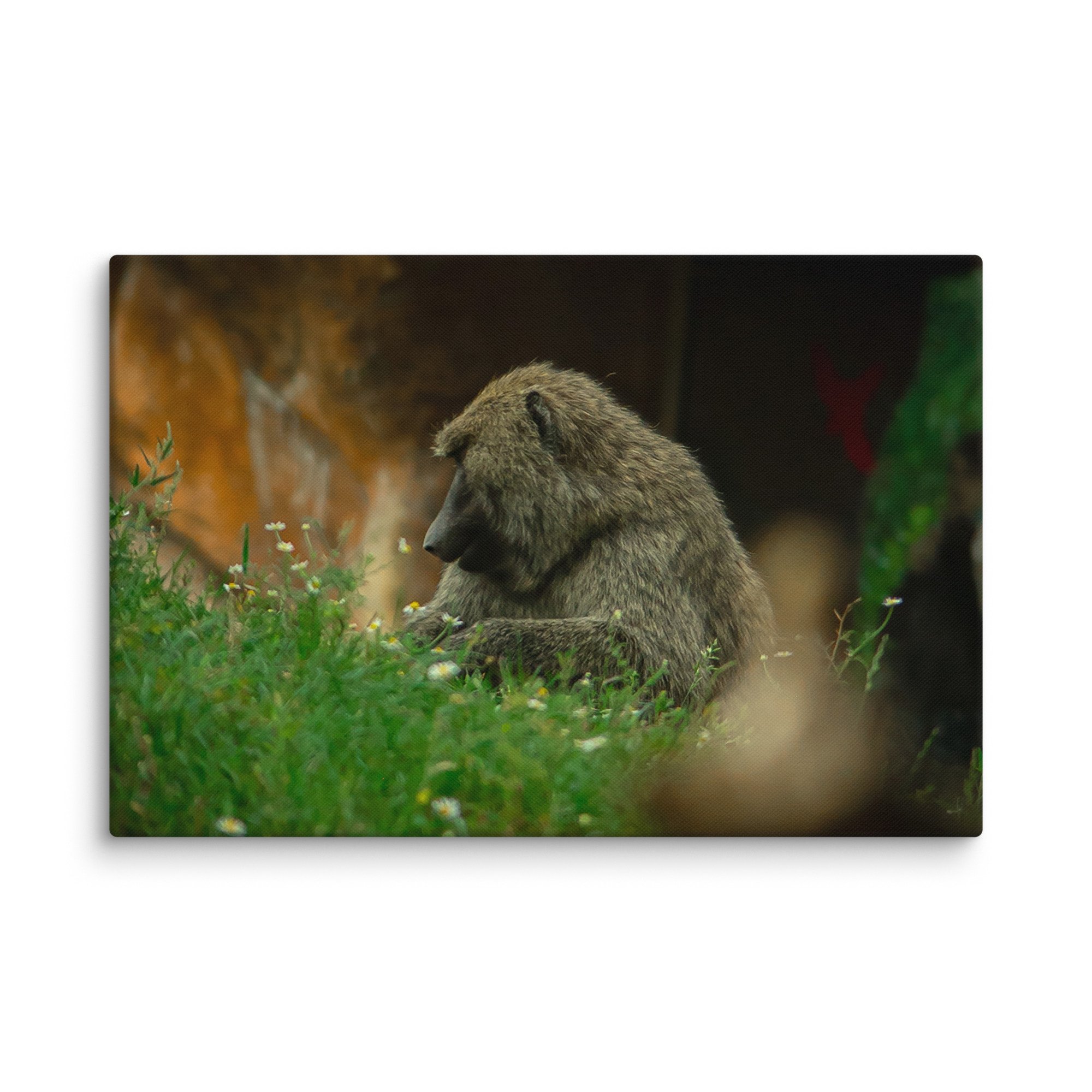 canvas-(in)-24x36-wall-677174edc510c.jpg