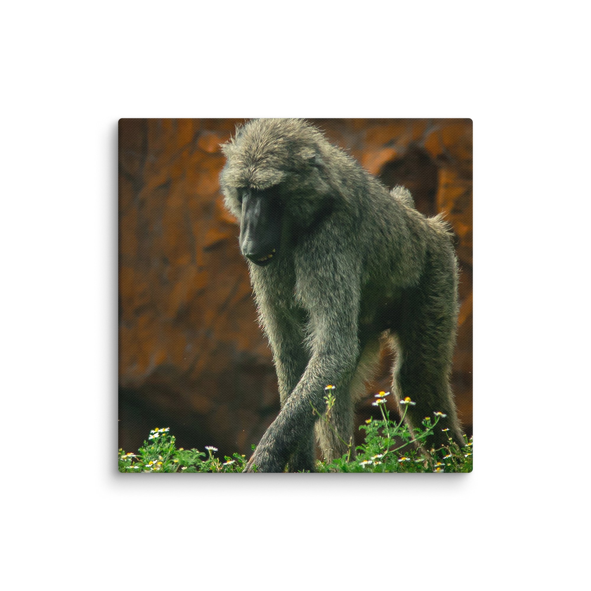 canvas-(in)-10x10-wall-67717b4971839.jpg