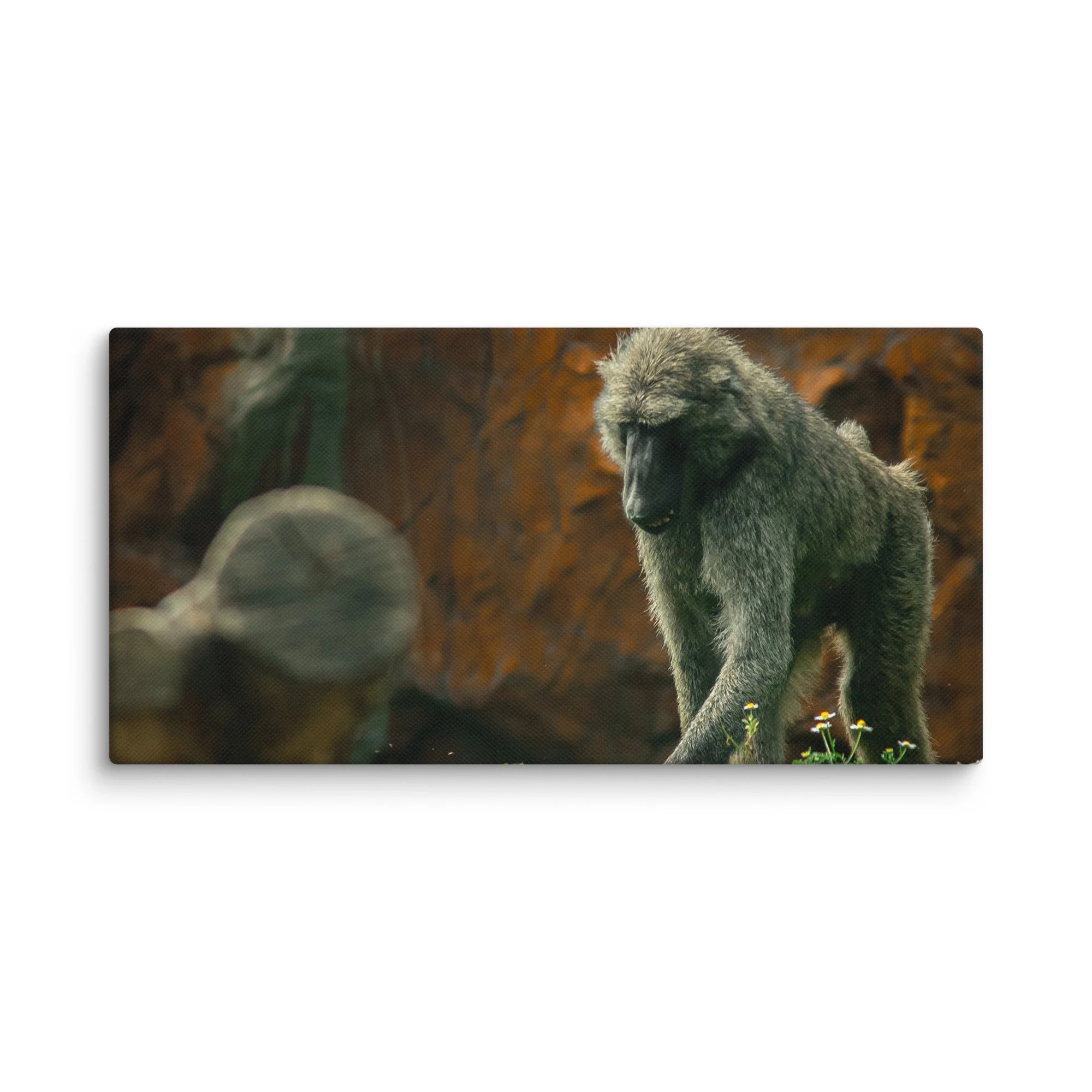 canvas-(in)-12x24-wall-67717b497199c.jpg