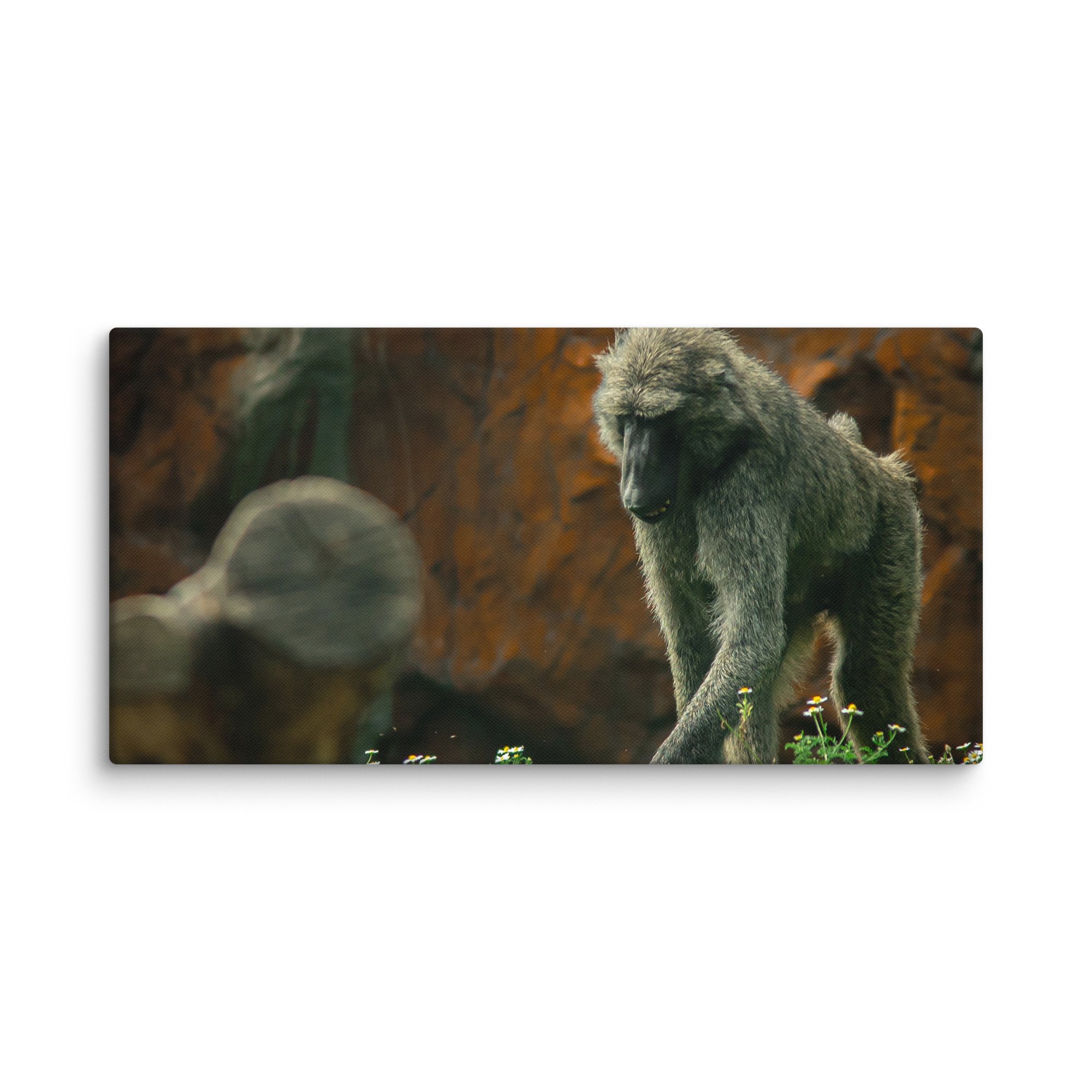 canvas-(in)-16x32-wall-67717b4971abe.jpg