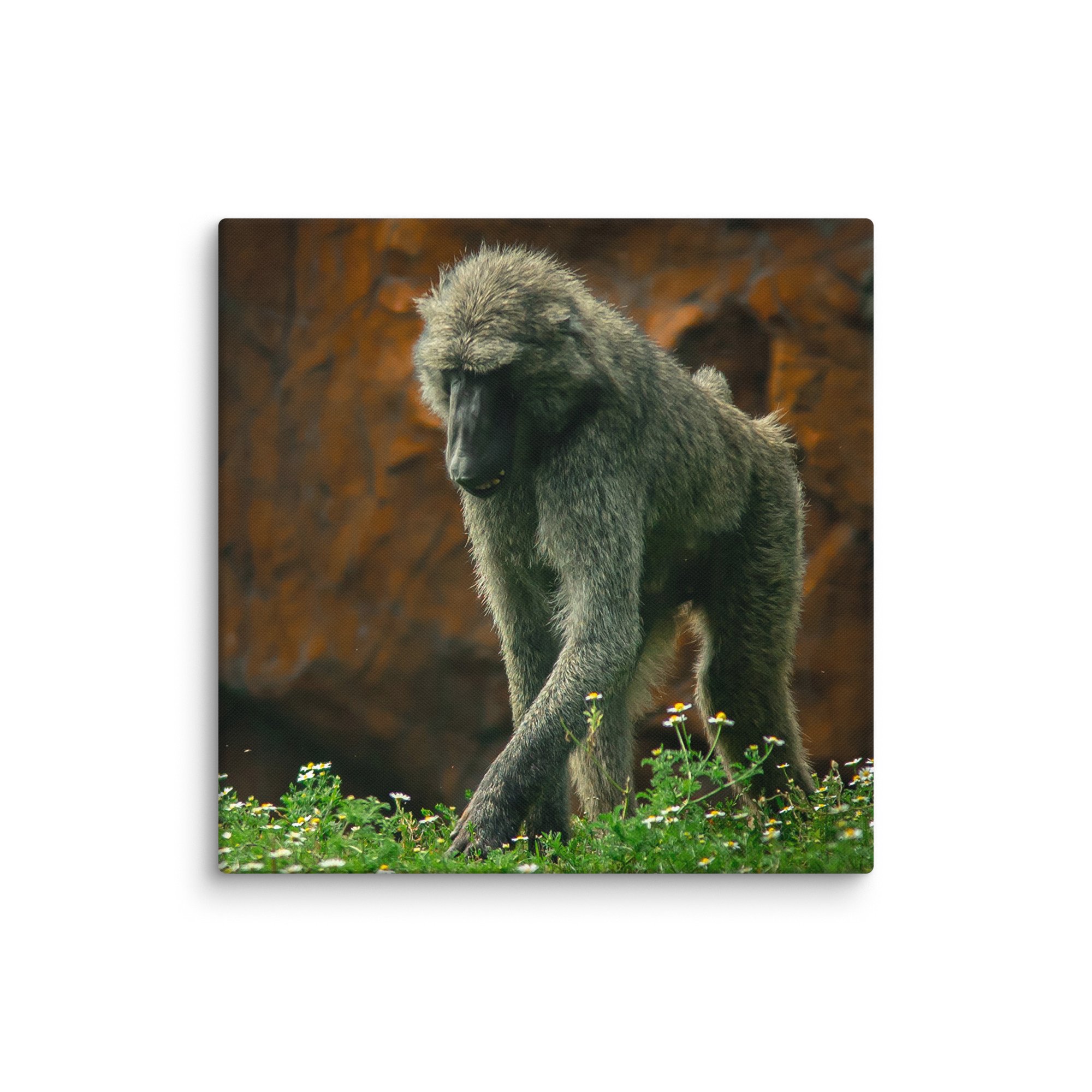 canvas-(in)-20x20-wall-67717b4971bea.jpg
