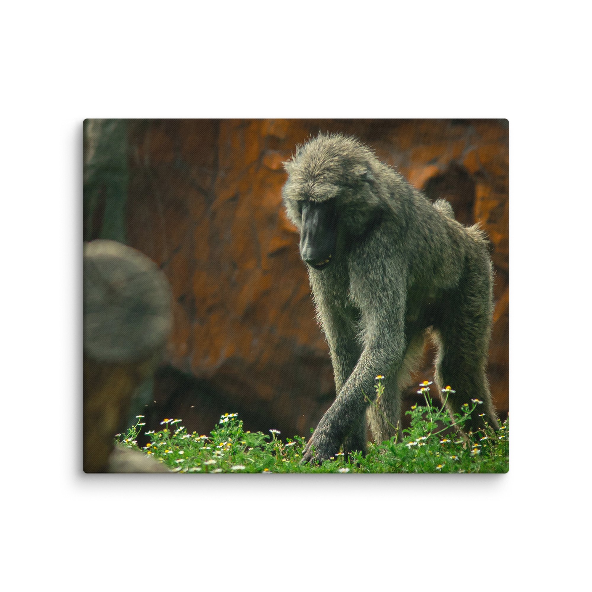 canvas-(in)-20x24-wall-67717b4971c31.jpg