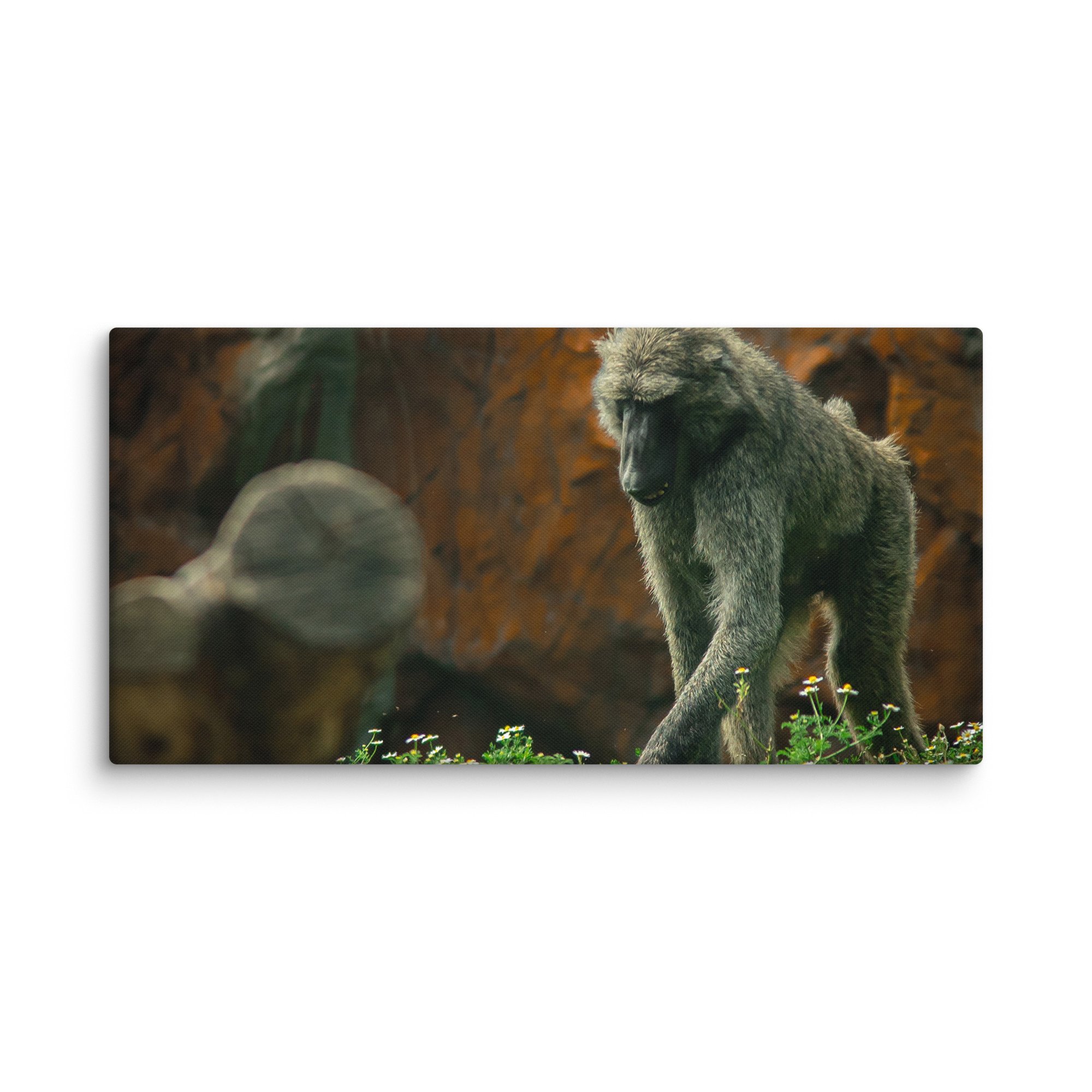 canvas-(in)-20x40-wall-67717b4971d22.jpg
