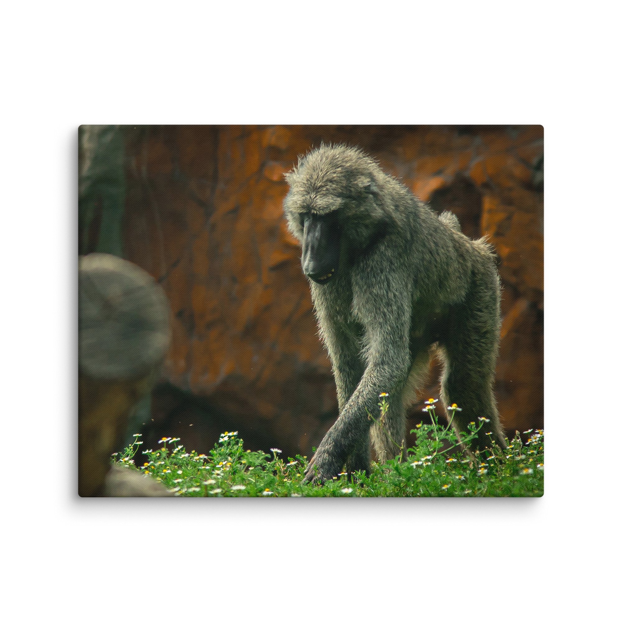 canvas-(in)-24x30-wall-67717b4971df9.jpg