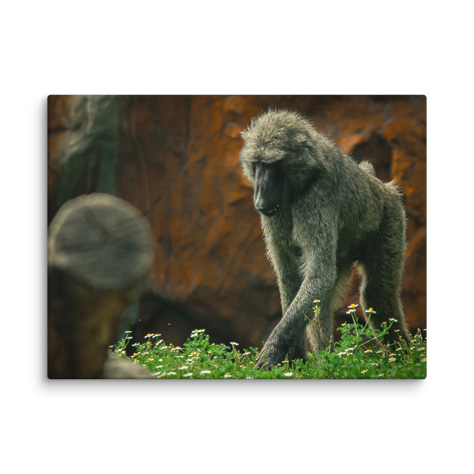 canvas-(in)-24x32-wall-67717b4971e40.jpg