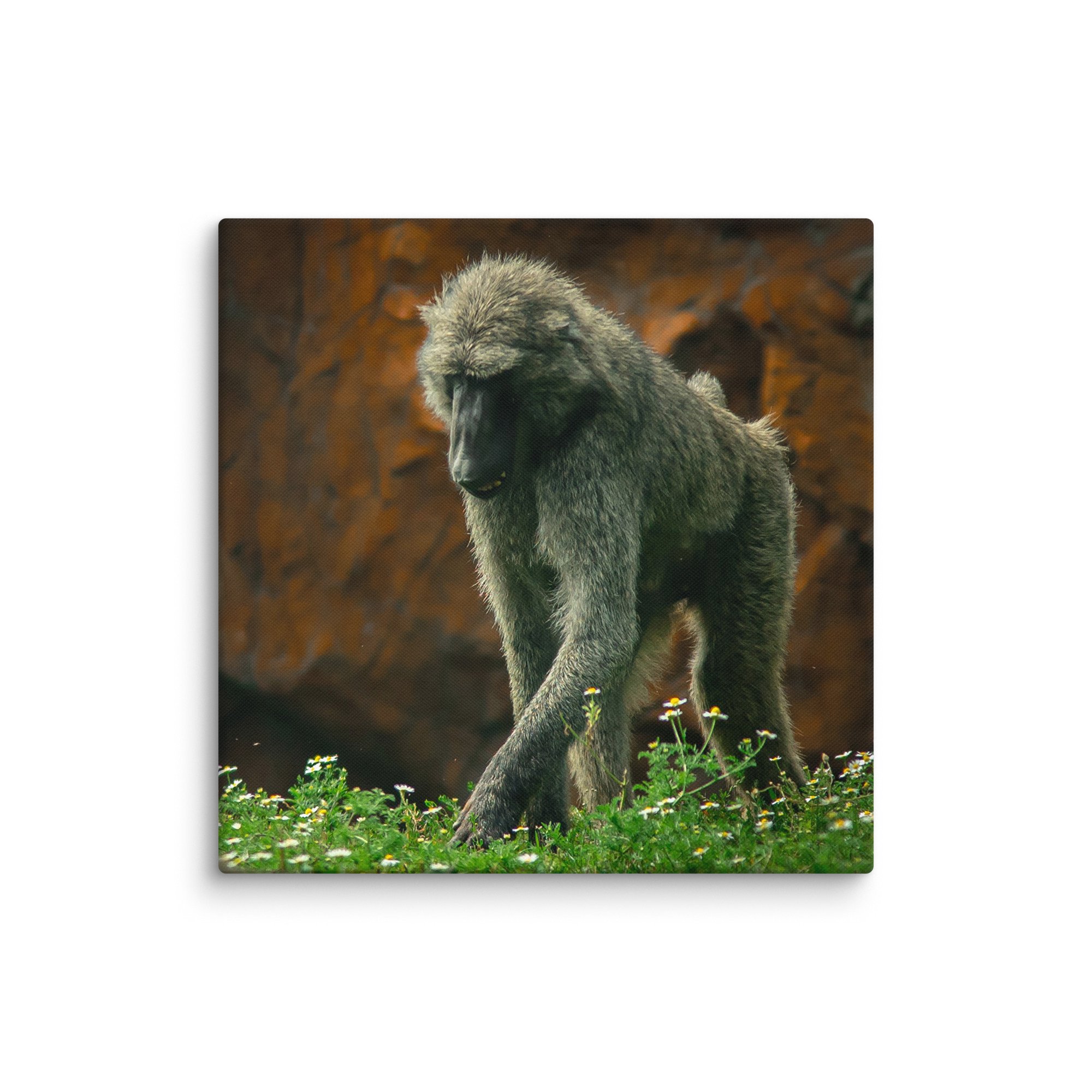 canvas-(in)-26x26-wall-67717b4971ede.jpg