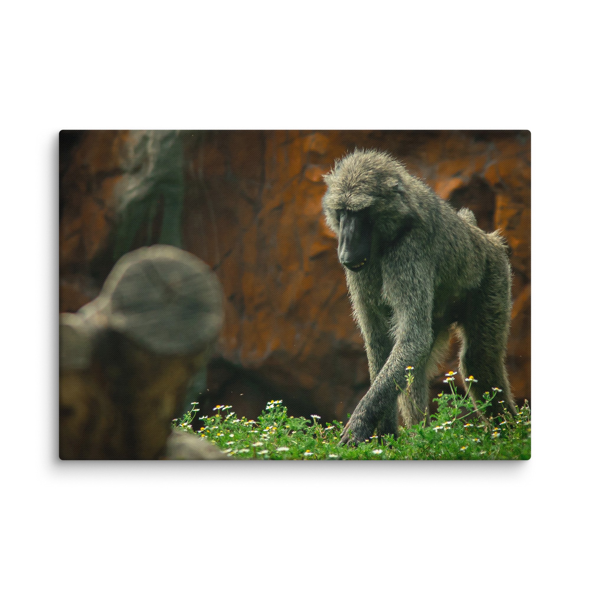 canvas-(in)-28x40-wall-67717b4971fb3.jpg