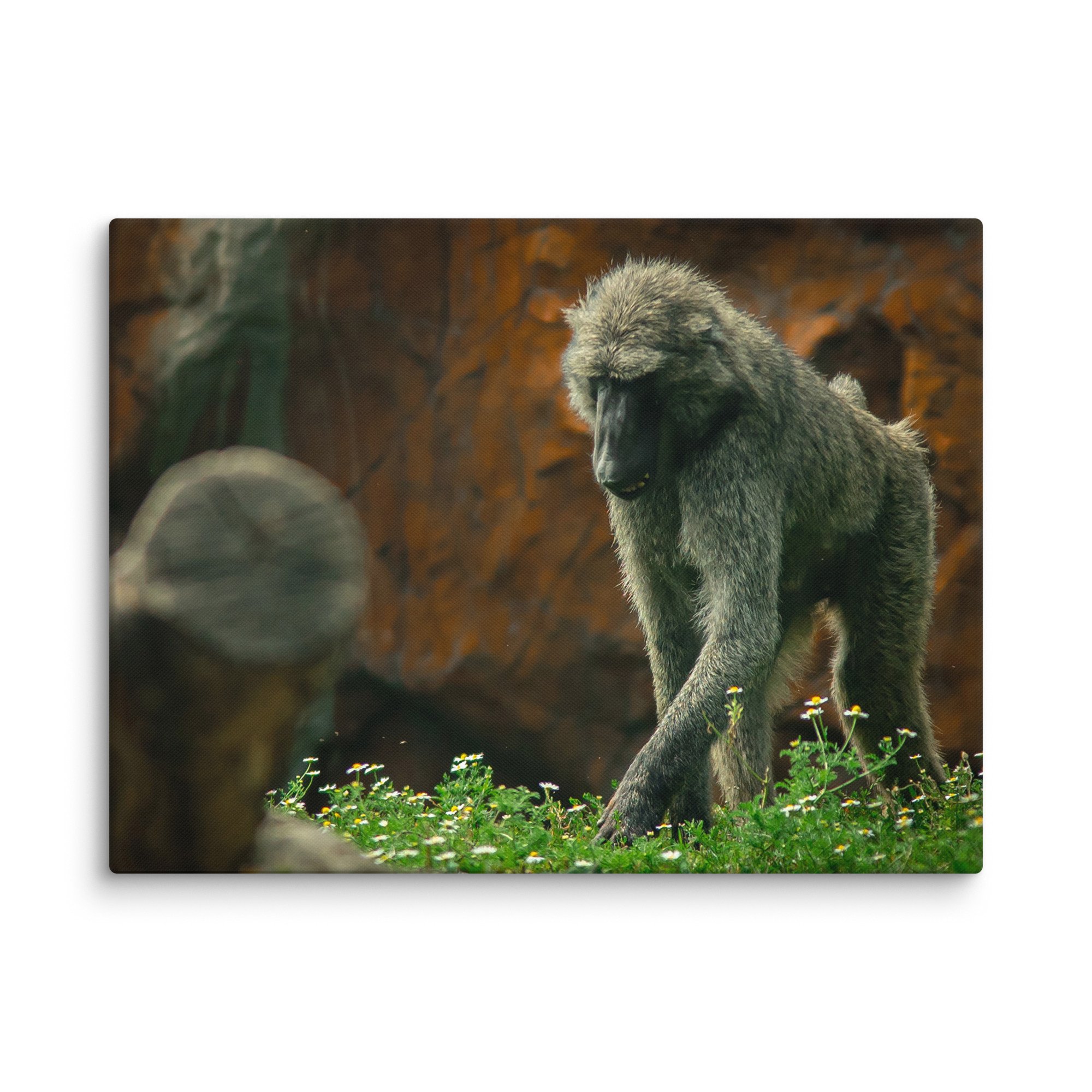 canvas-(in)-30x40-wall-67717b497203e.jpg
