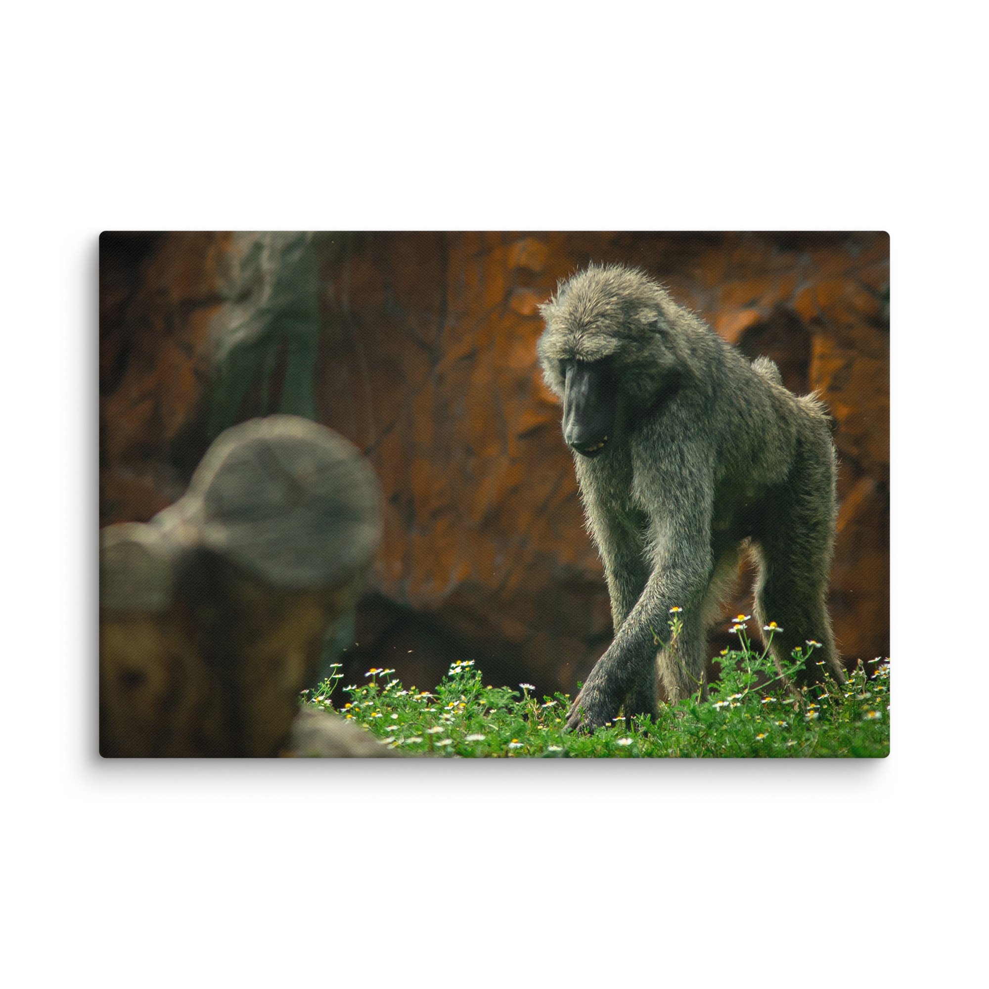 canvas-(in)-32x48-wall-67717b4972111.jpg