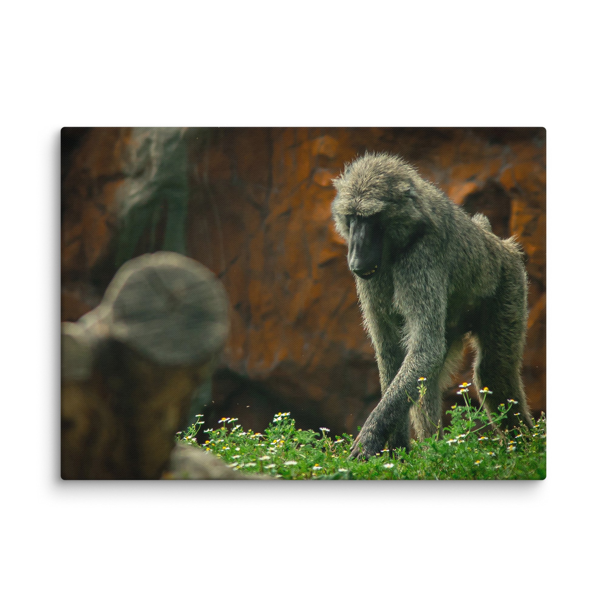 canvas-(in)-40x55-wall-67717b49721e3.jpg