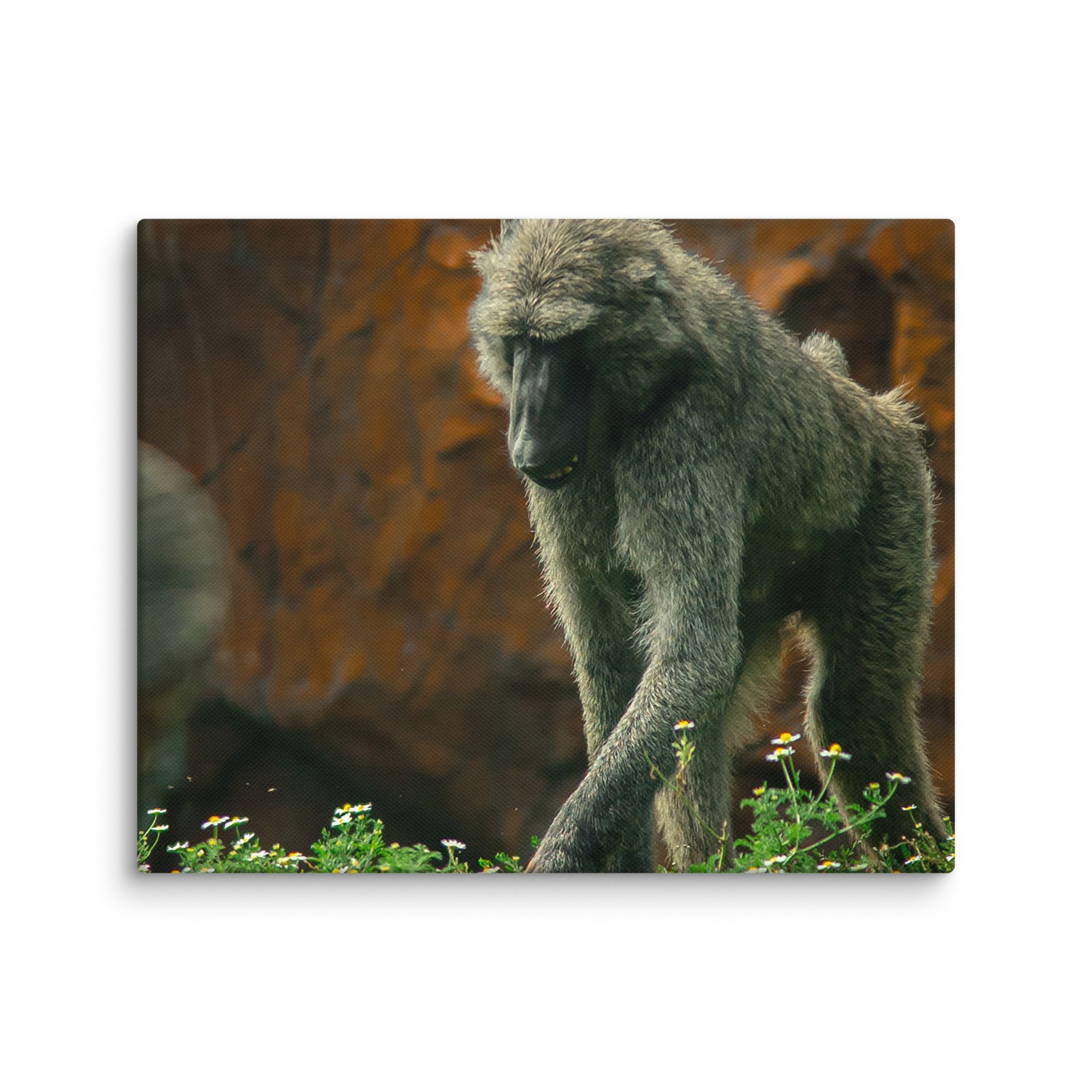 canvas-(in)-8x10-wall-67717b4972270.jpg