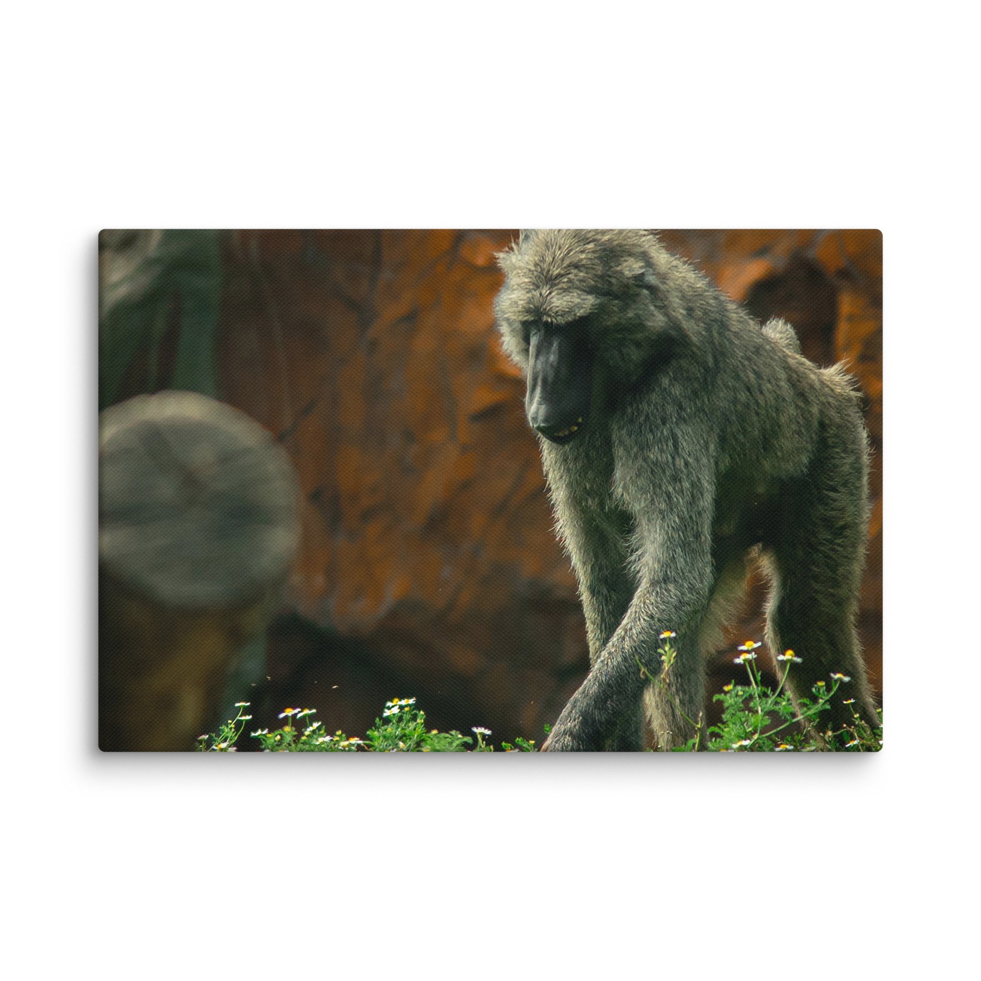 canvas-(in)-8x12-wall-67717b49722b8.jpg