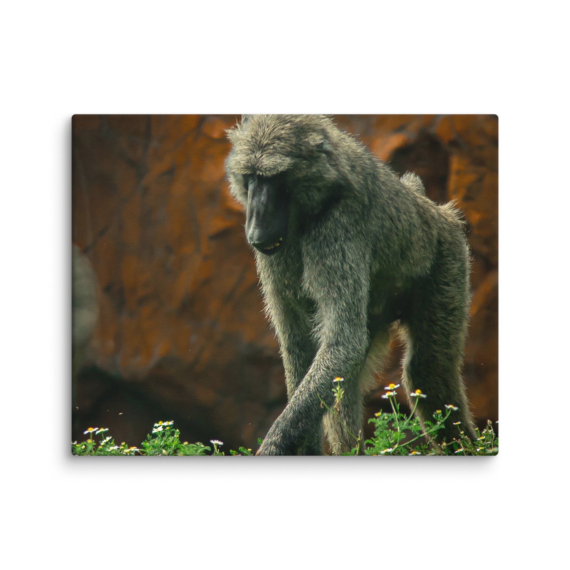 canvas-(in)-16x20-wall-67717b497244c.jpg