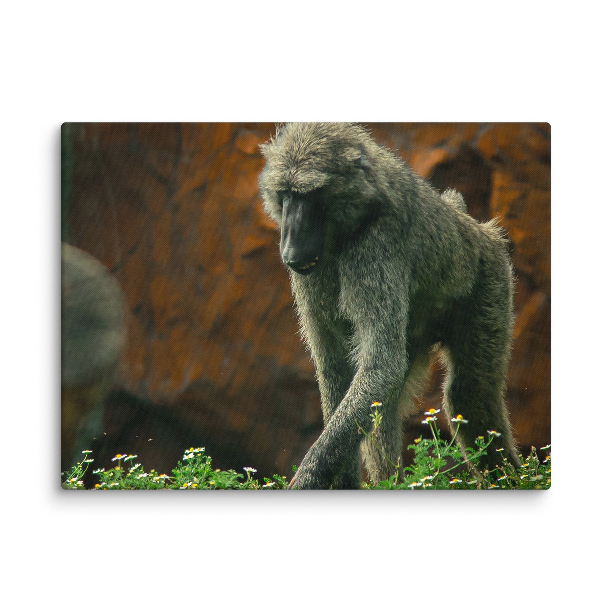 canvas-(in)-18x24-wall-67717b49724cb.jpg