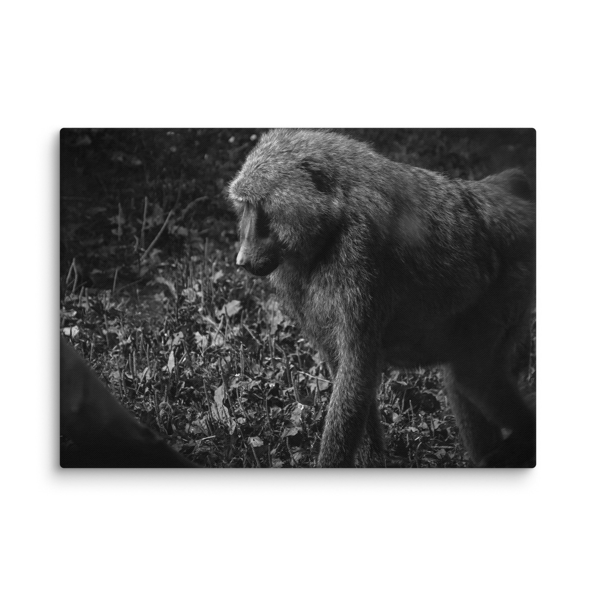canvas-(in)-20x28-wall-677180013720a.jpg