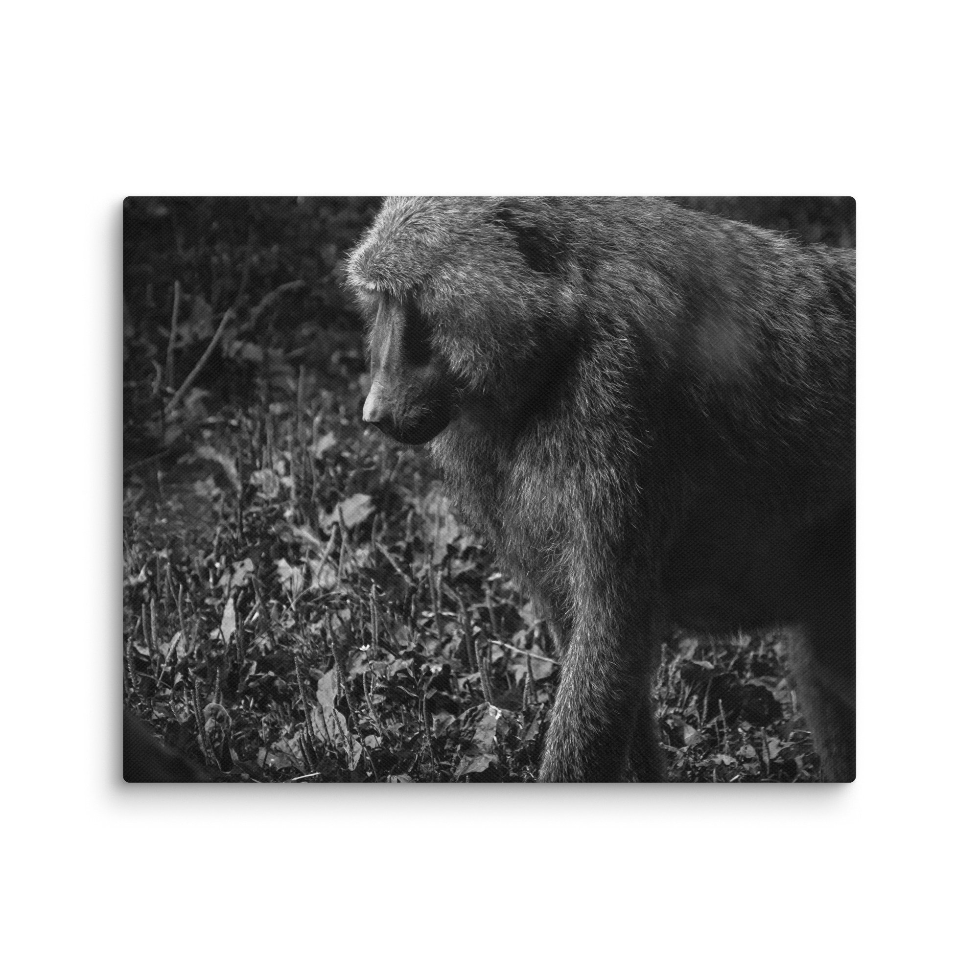 canvas-(in)-8x10-wall-6771800137812.jpg