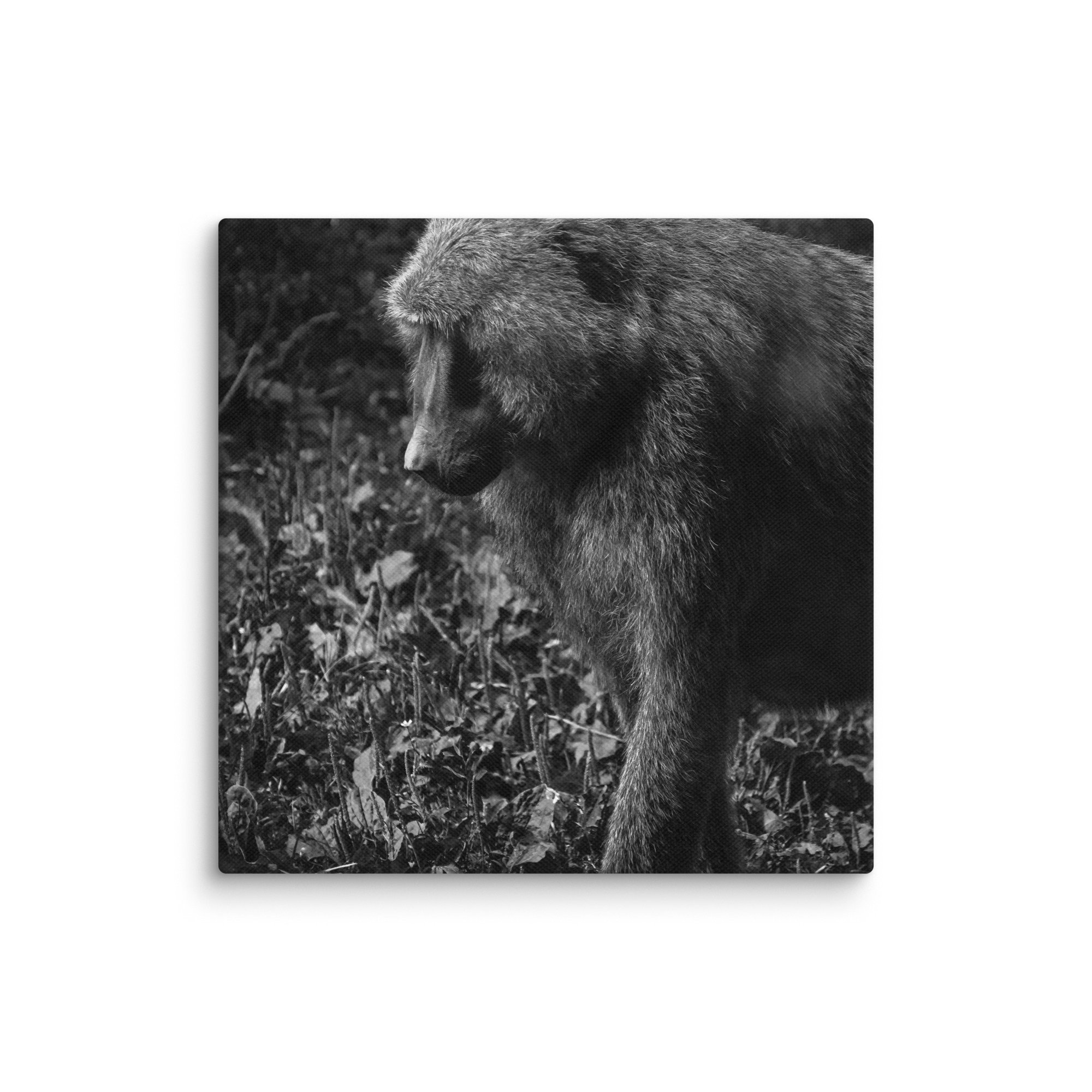 canvas-(in)-8x8-wall-67718001378a7.jpg