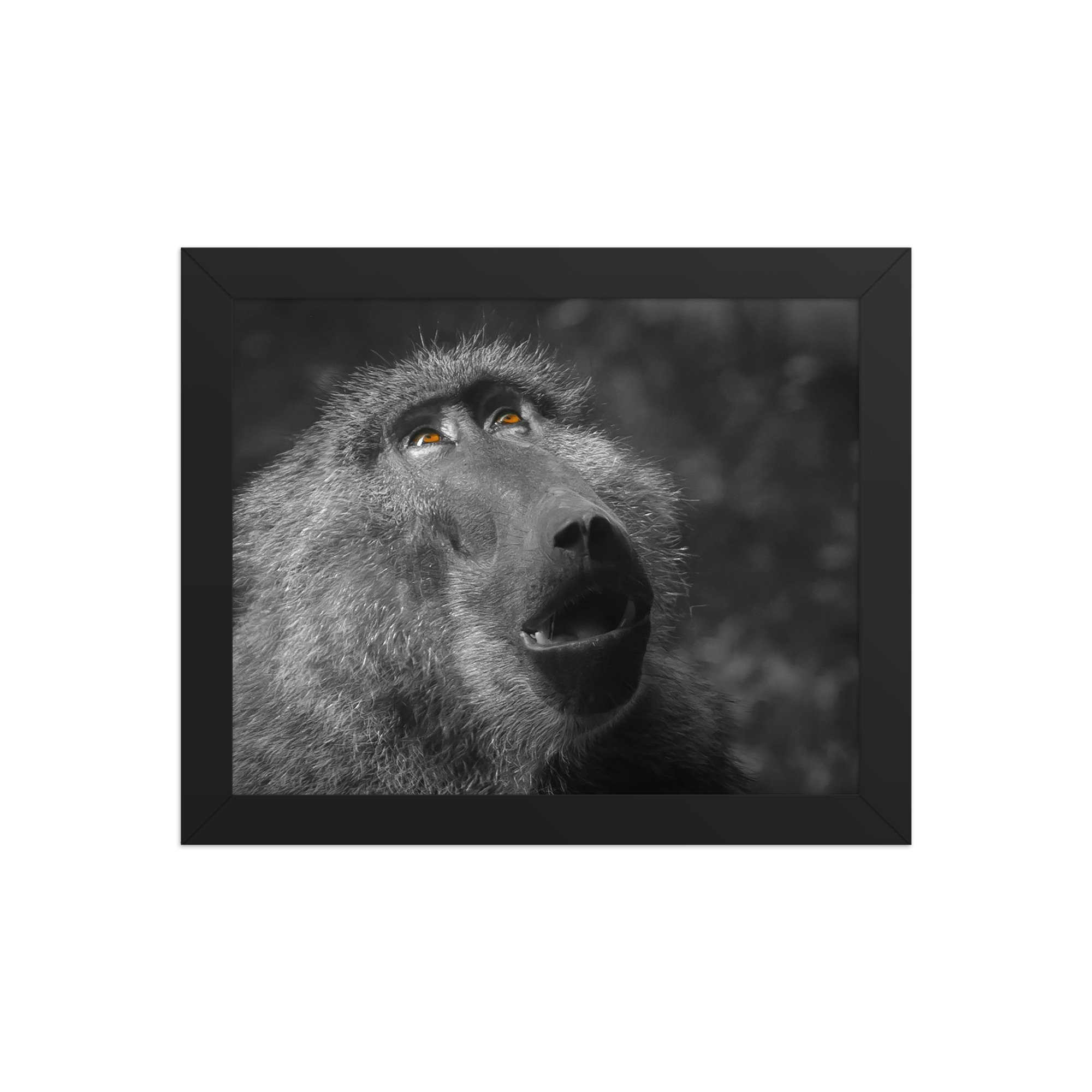 premium-luster-photo-paper-framed-poster-(in)-black-8x10-front-67800d2ef2f6b.jpg
